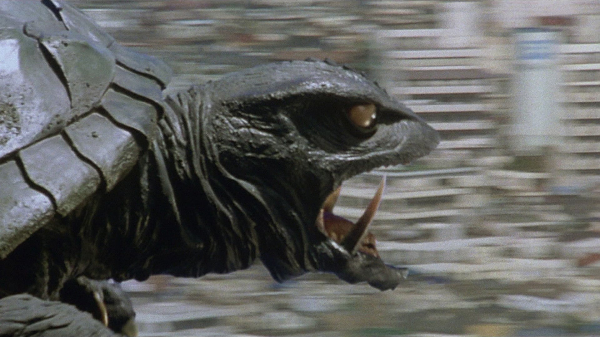 Foto do filme Gamera, o Guardião do Universo