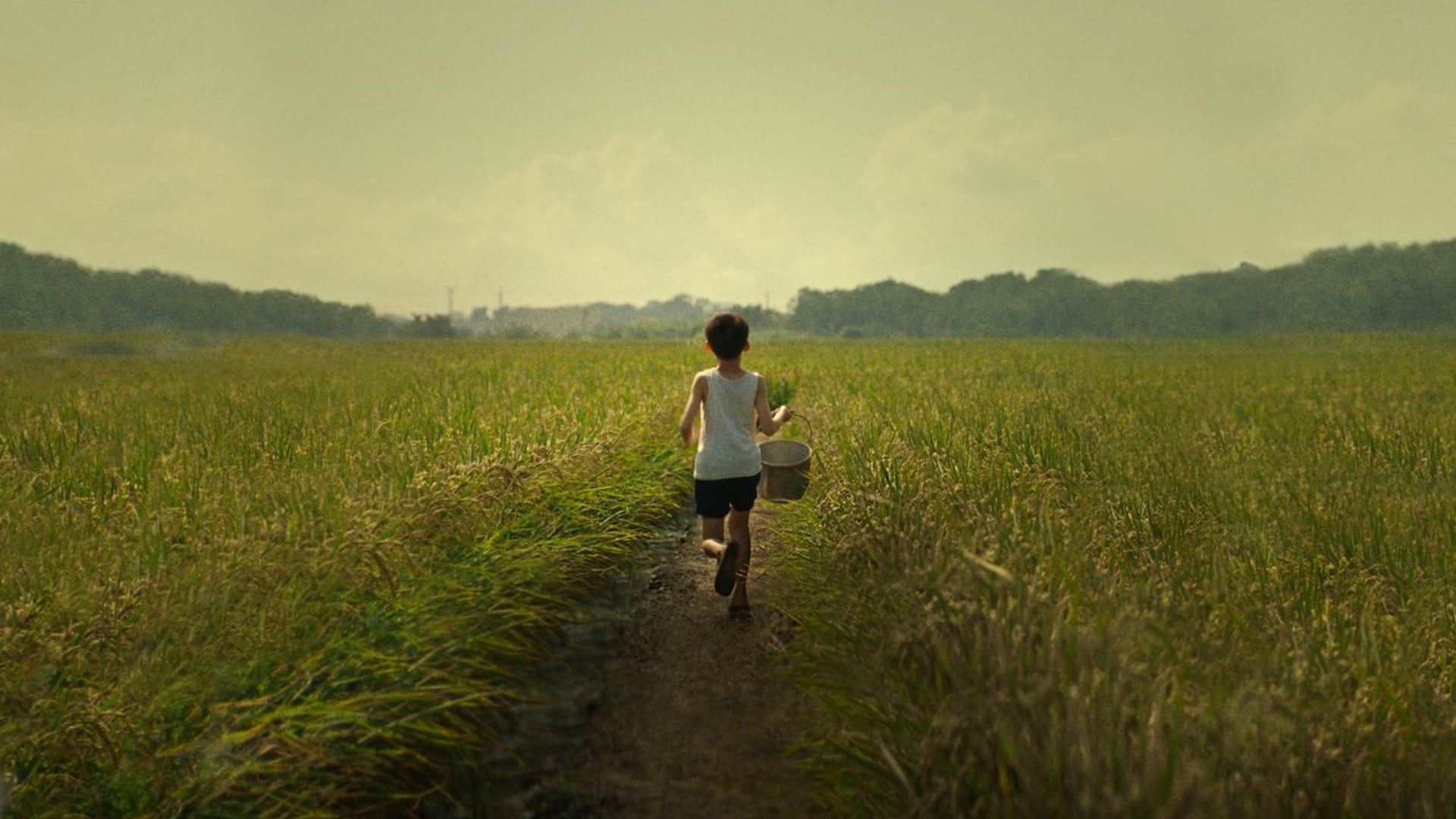 Foto do filme Tigertail