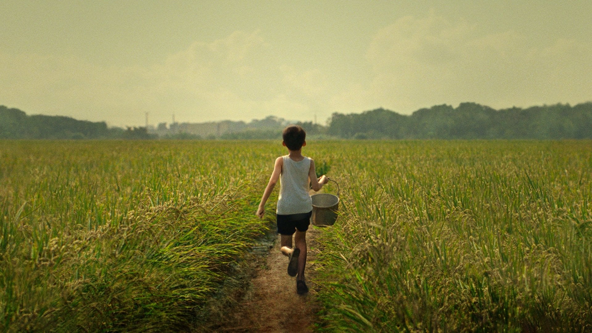 Foto do filme Tigertail