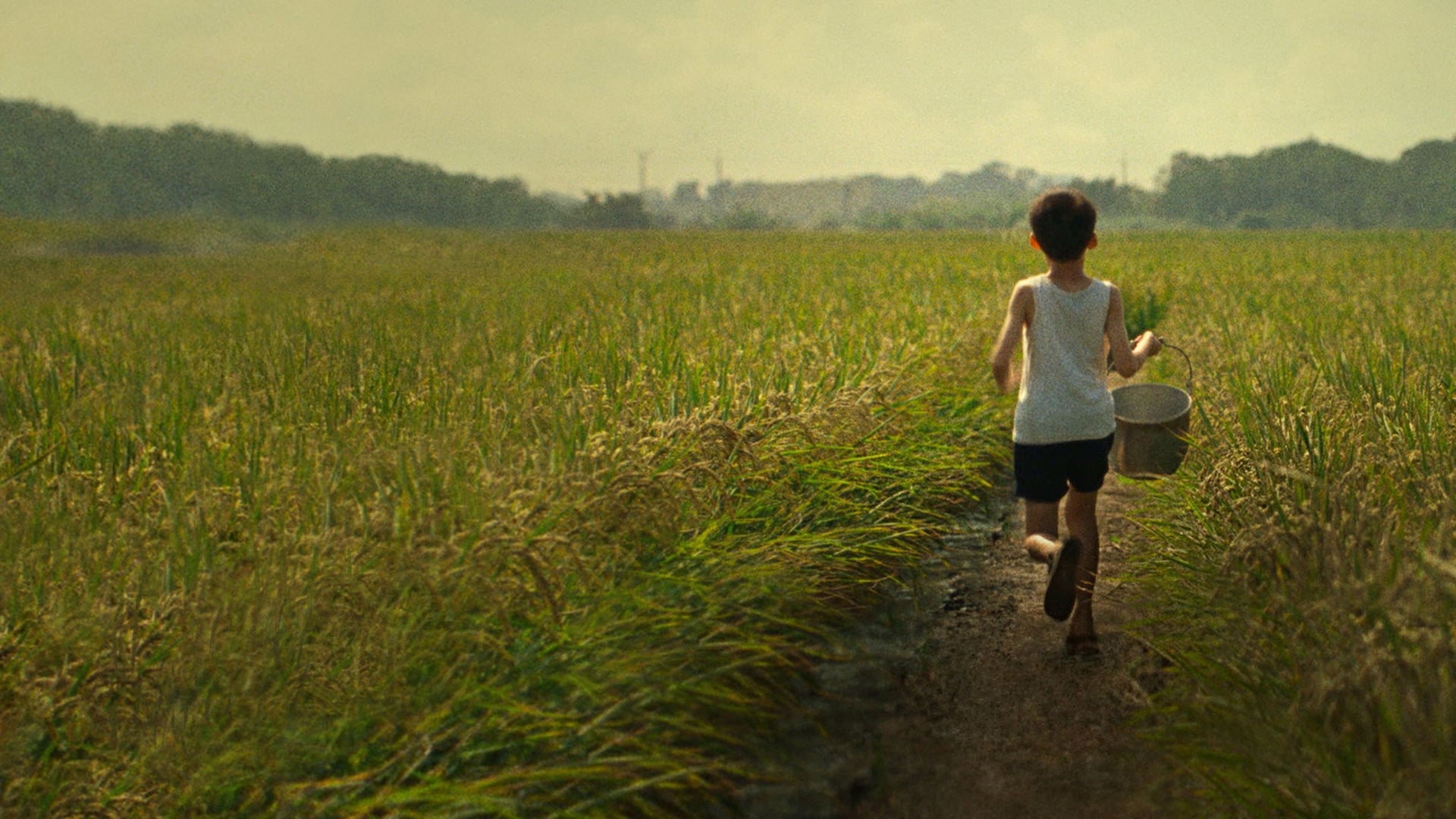 Foto do filme Tigertail