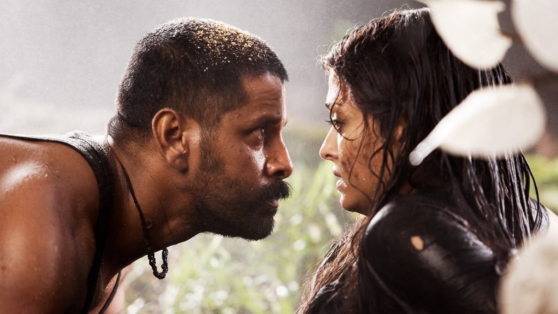 Foto do filme Raavanan
