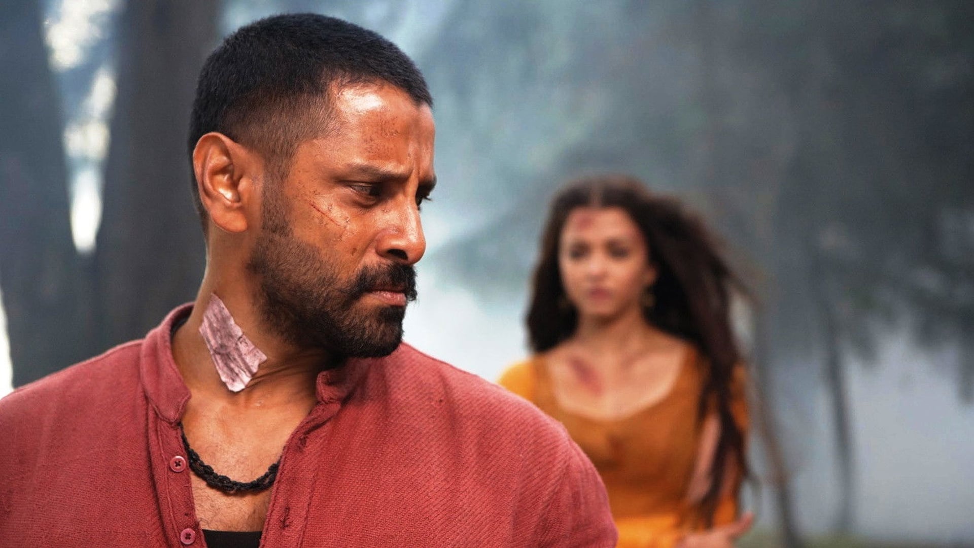 Foto do filme Raavanan