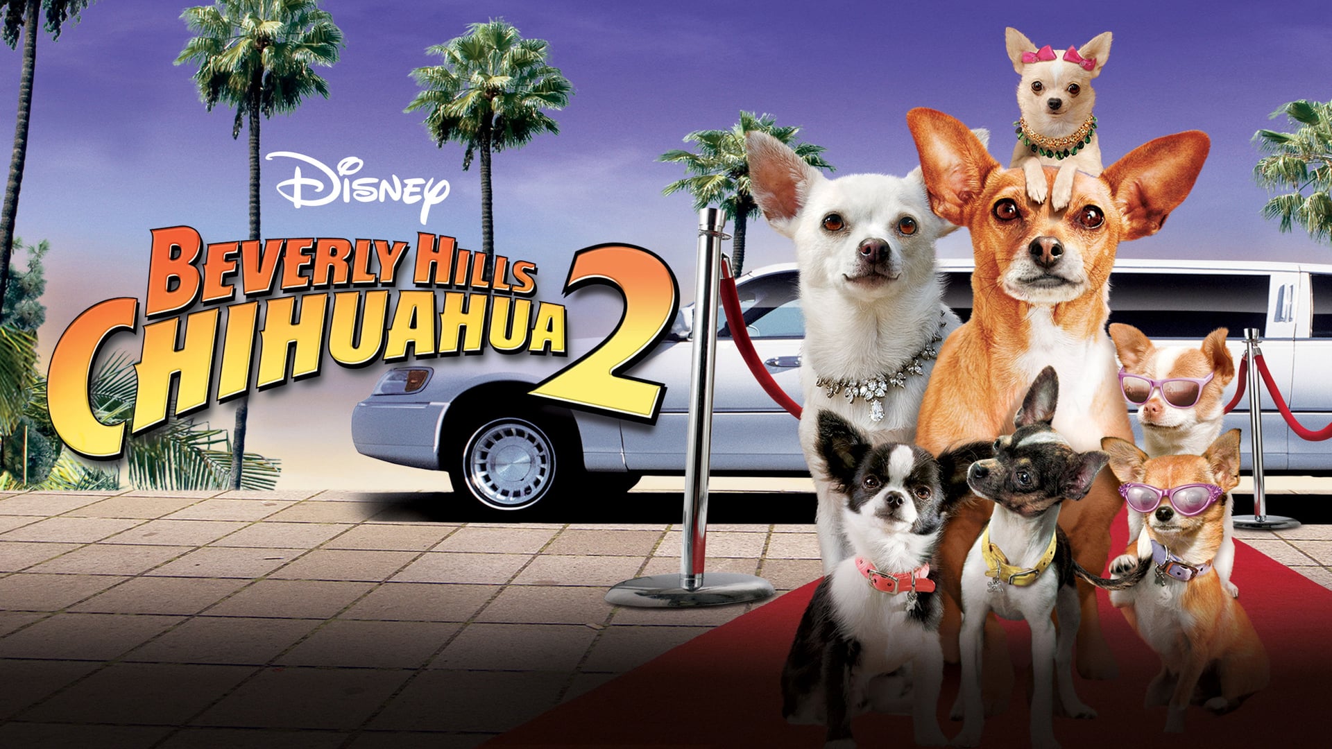 Foto do filme Perdido pra Cachorro 2