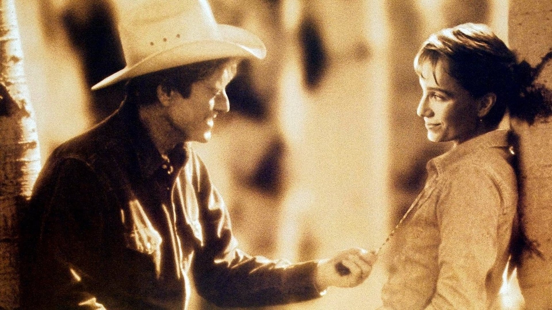 Foto do filme O Encantador de Cavalos