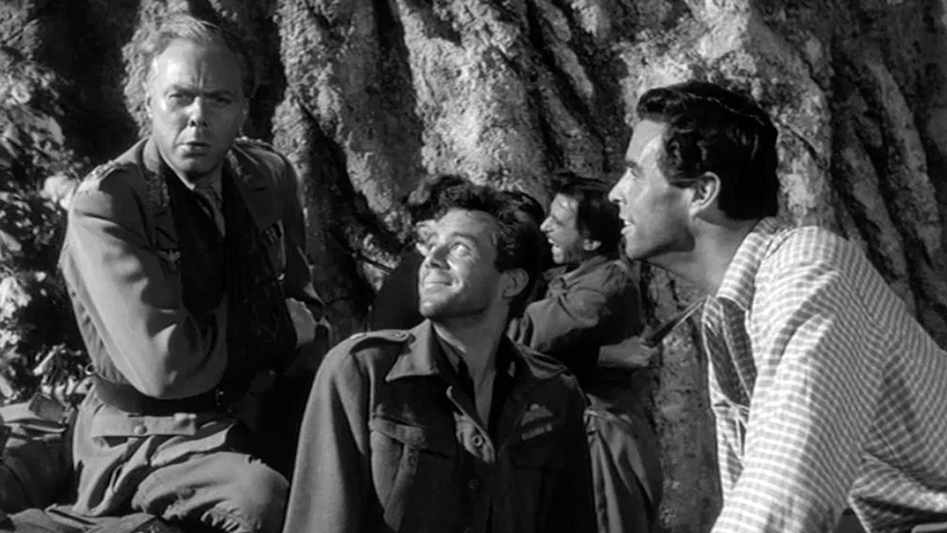 Foto do filme Perigo nas Sombras