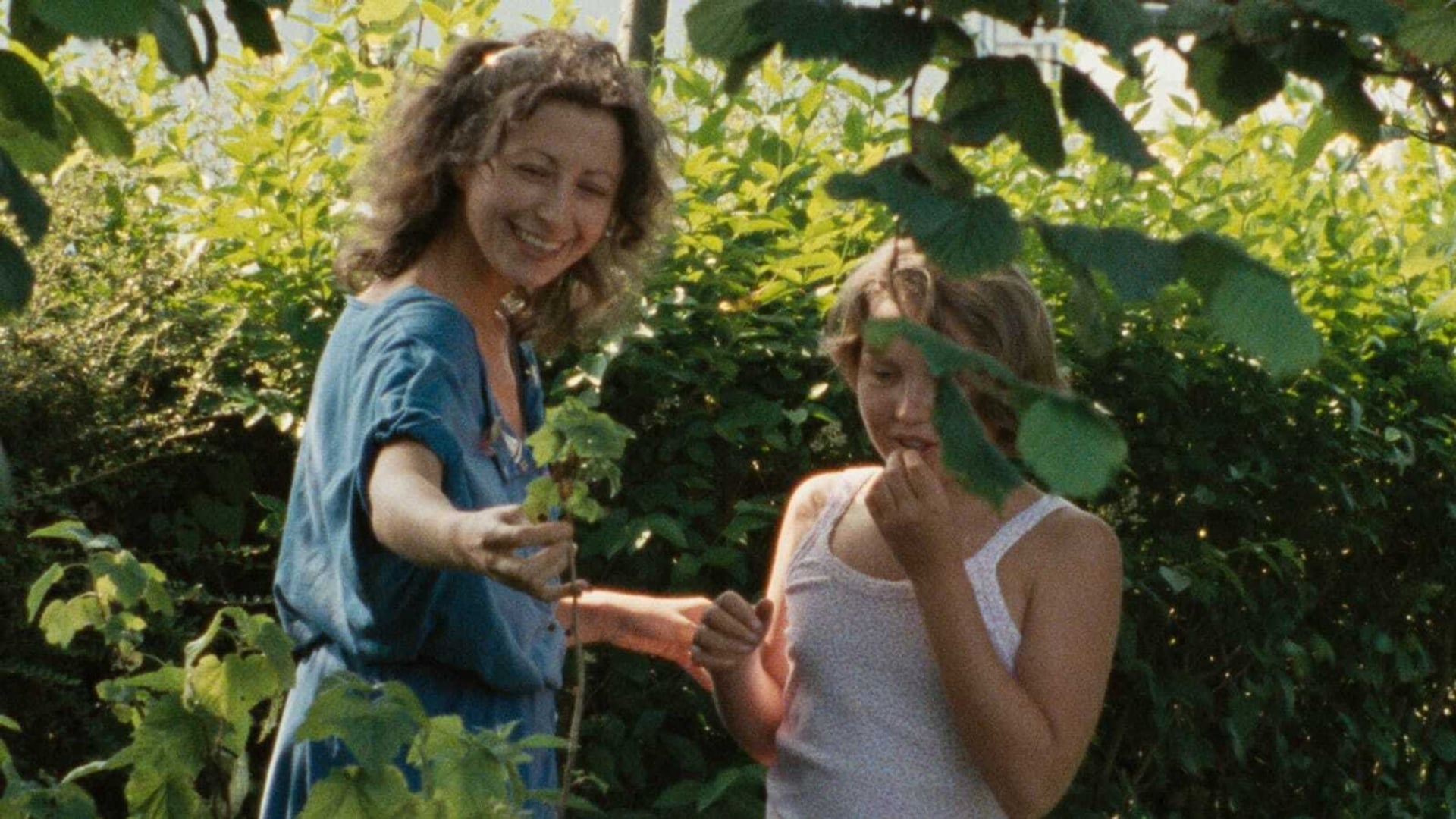 Foto do filme O Raio Verde