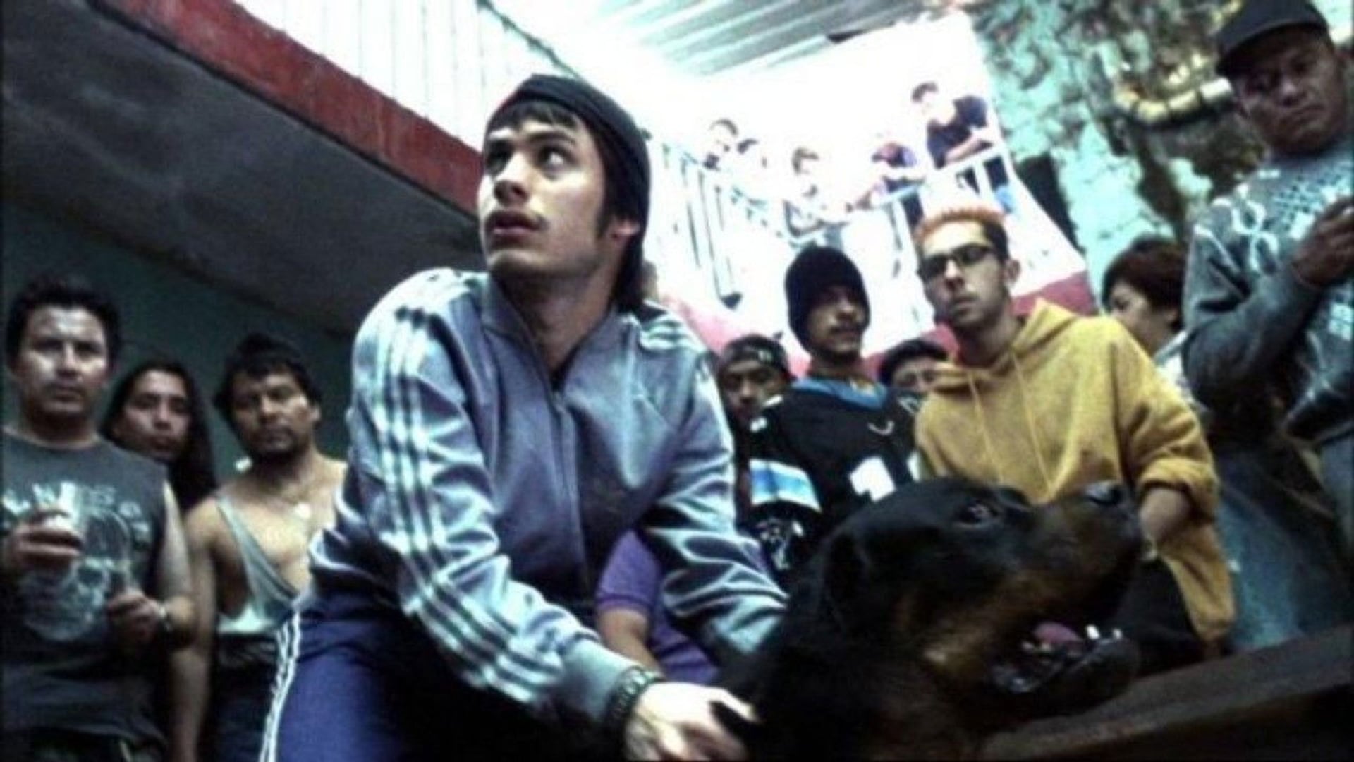 Foto do filme Amores Brutos
