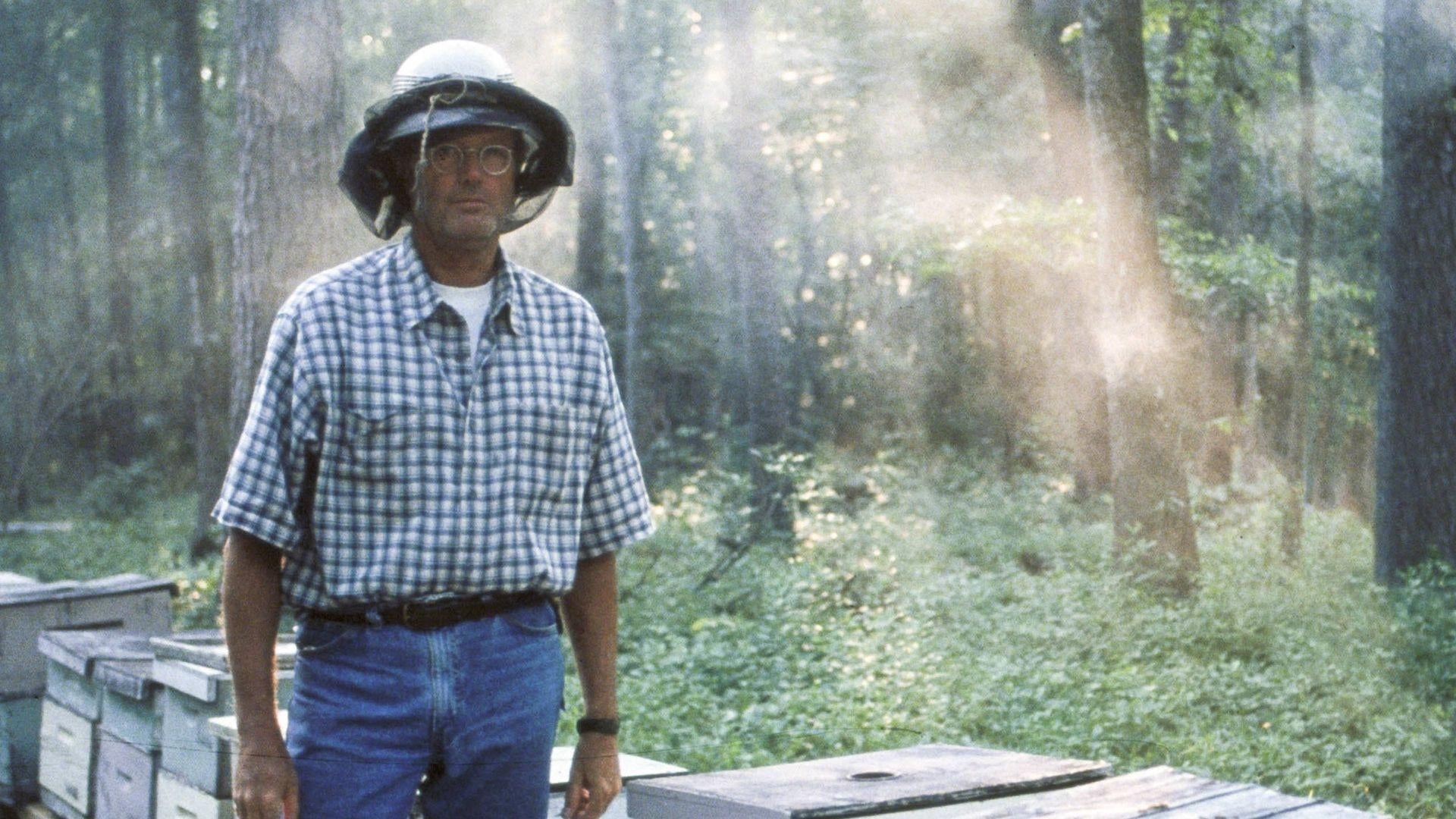 Foto do filme O Ouro de Ulisses