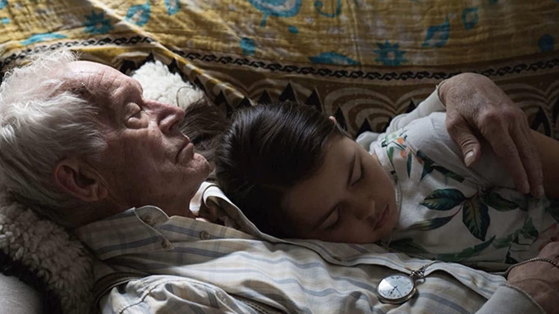 Foto do filme Falling - Ainda Há Tempo