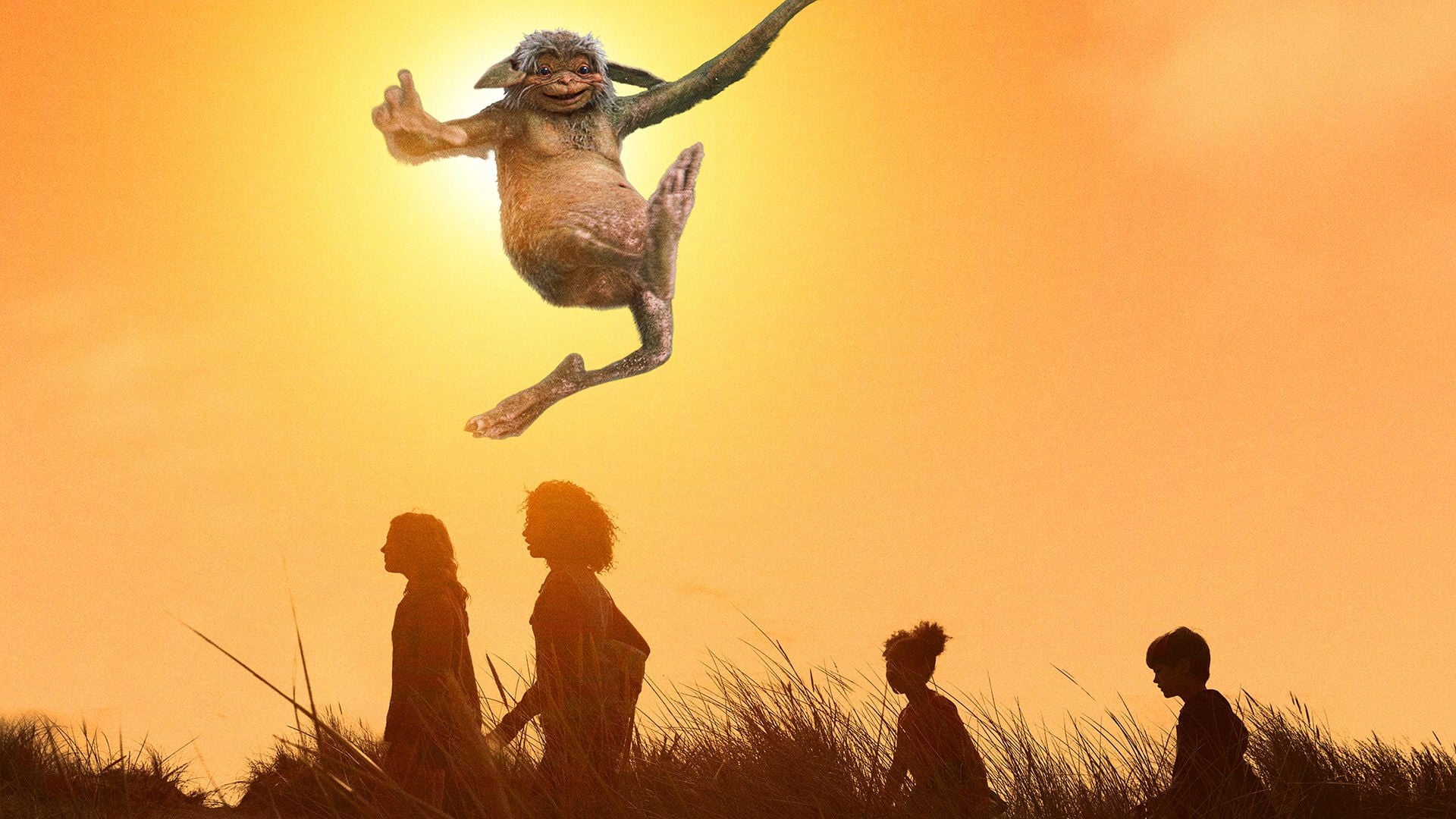 Foto do filme Faça Um Desejo!