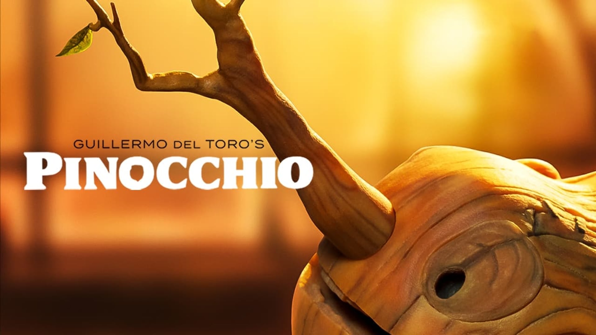 Foto do filme Pinóquio por Guillermo del Toro