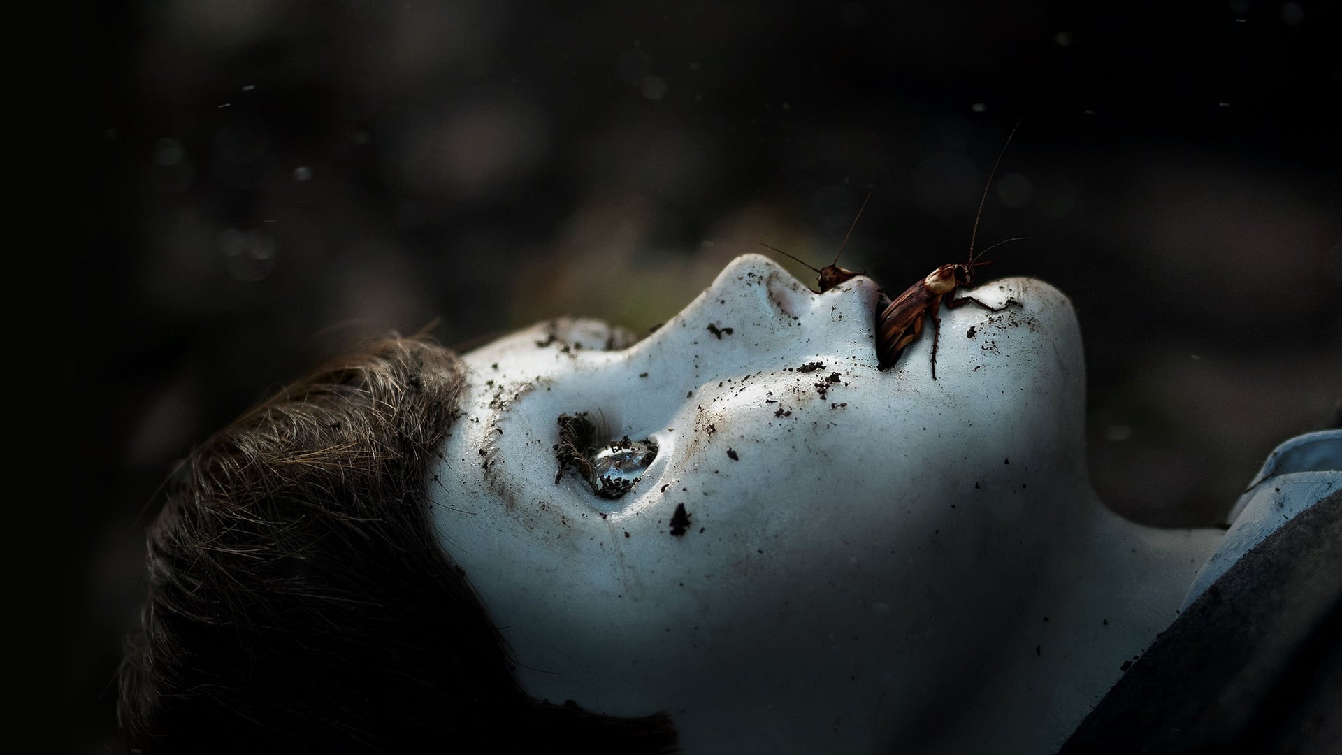 Foto do filme Brahms: Boneco do Mal II