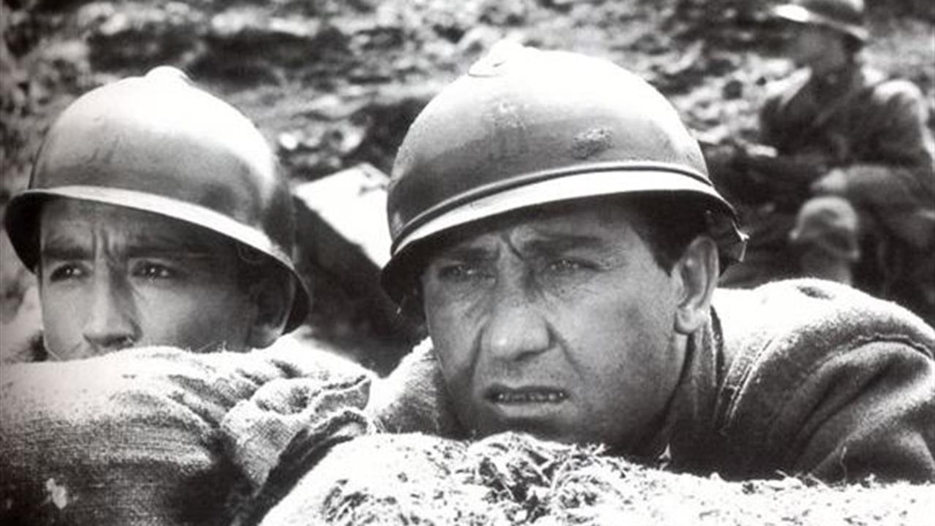 Foto do filme A Grande Guerra