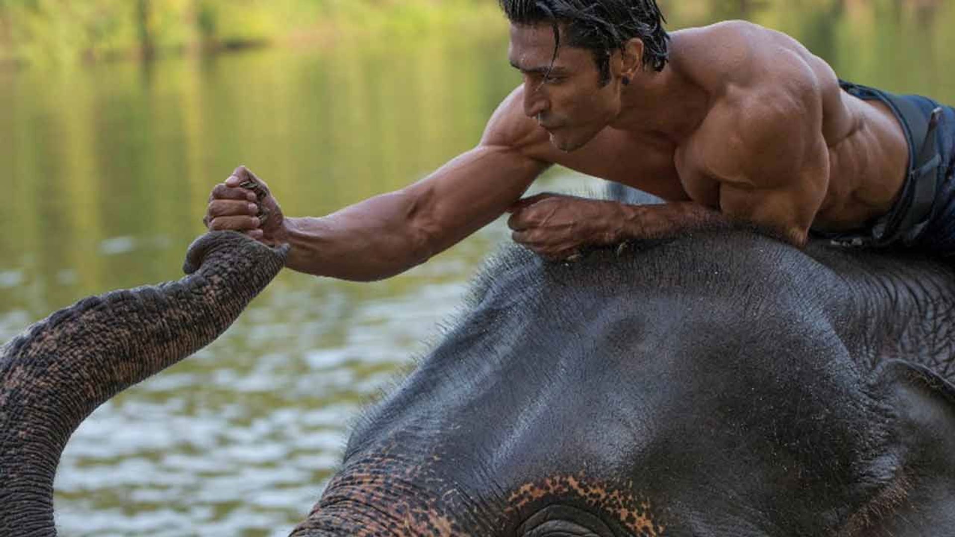 Foto do filme Junglee - Protegendo a Selva