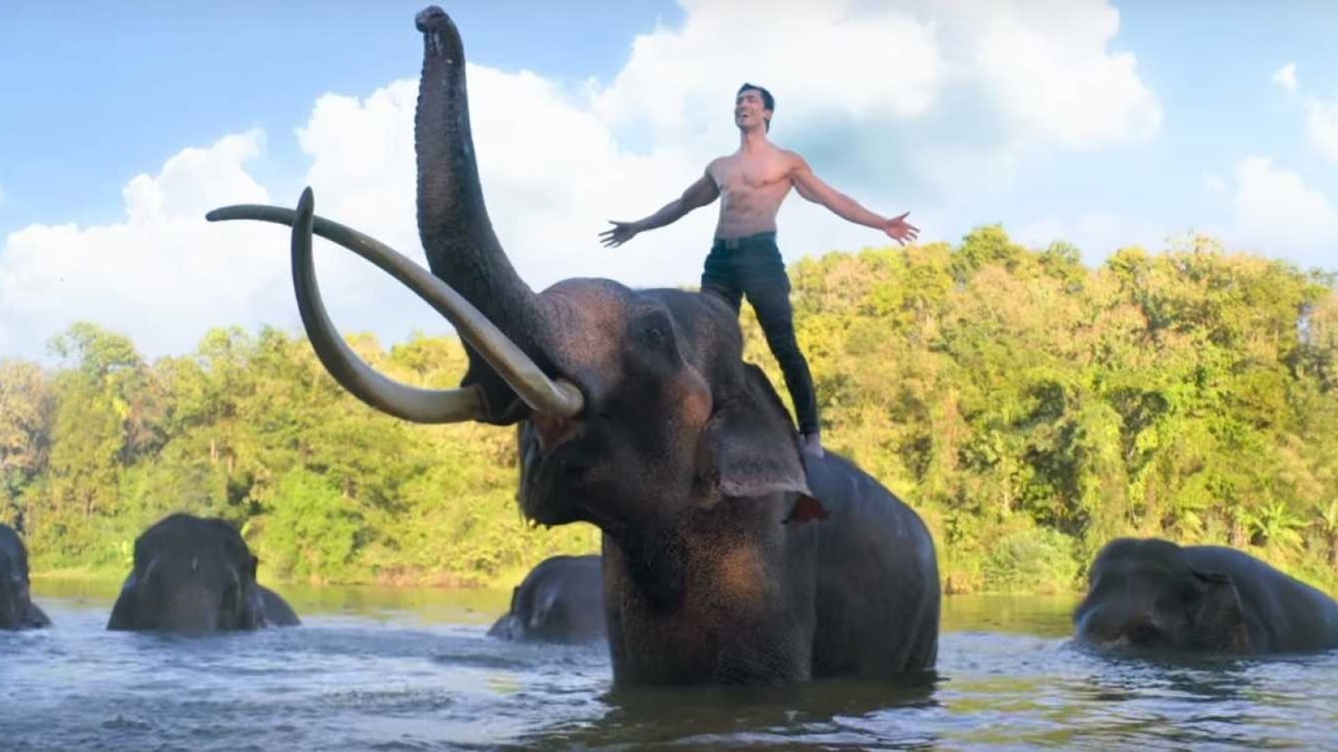 Foto do filme Junglee - Protegendo a Selva