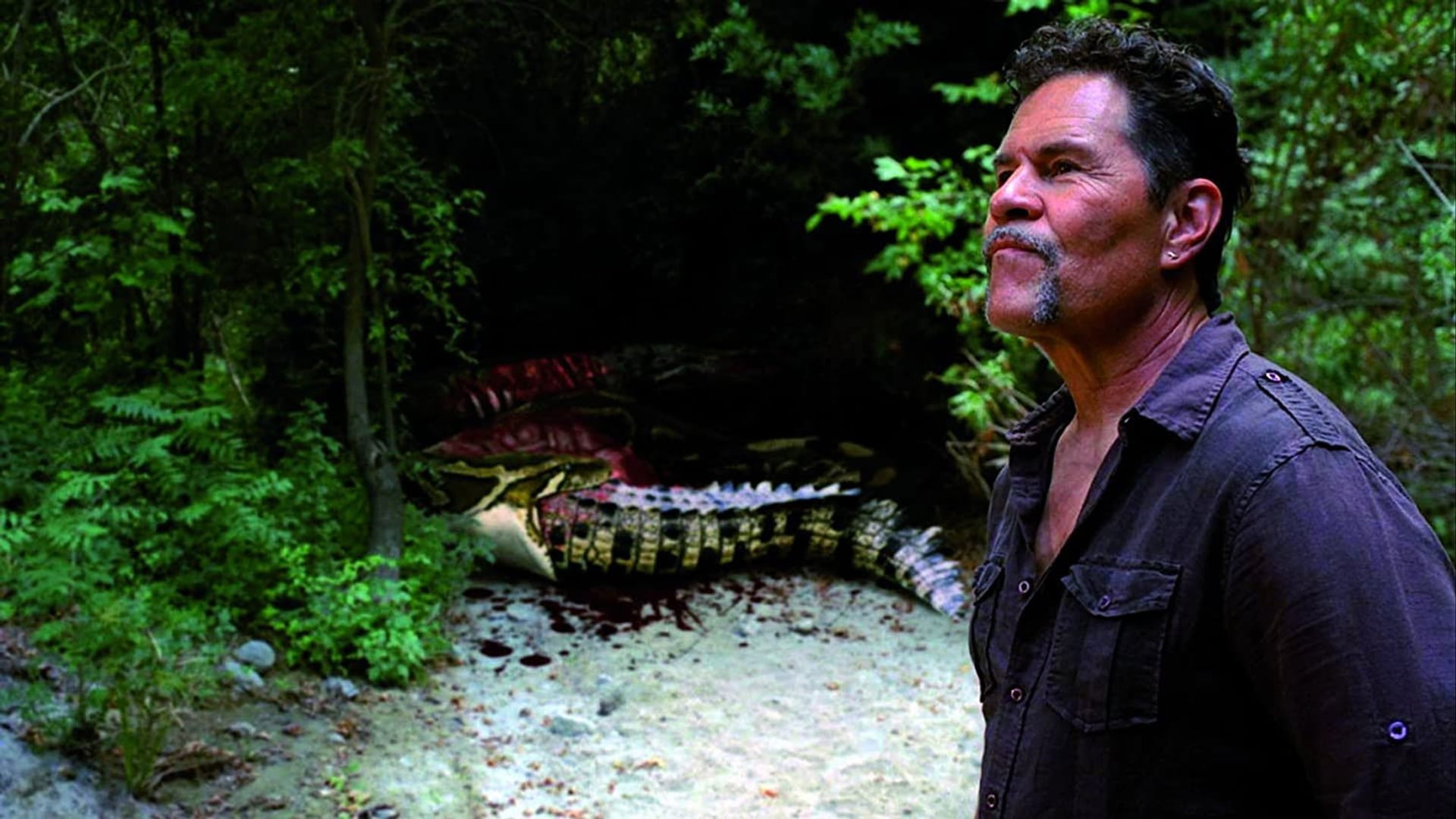 Foto do filme Mega Pítons vs Jacarés Gigantes