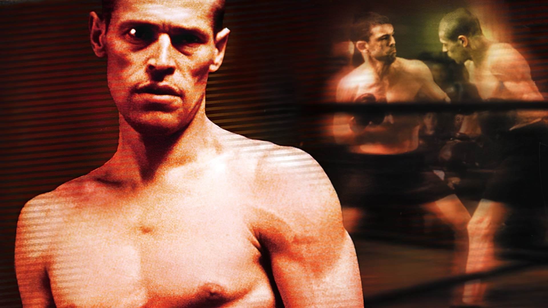 Foto do filme Triunfo do Espírito