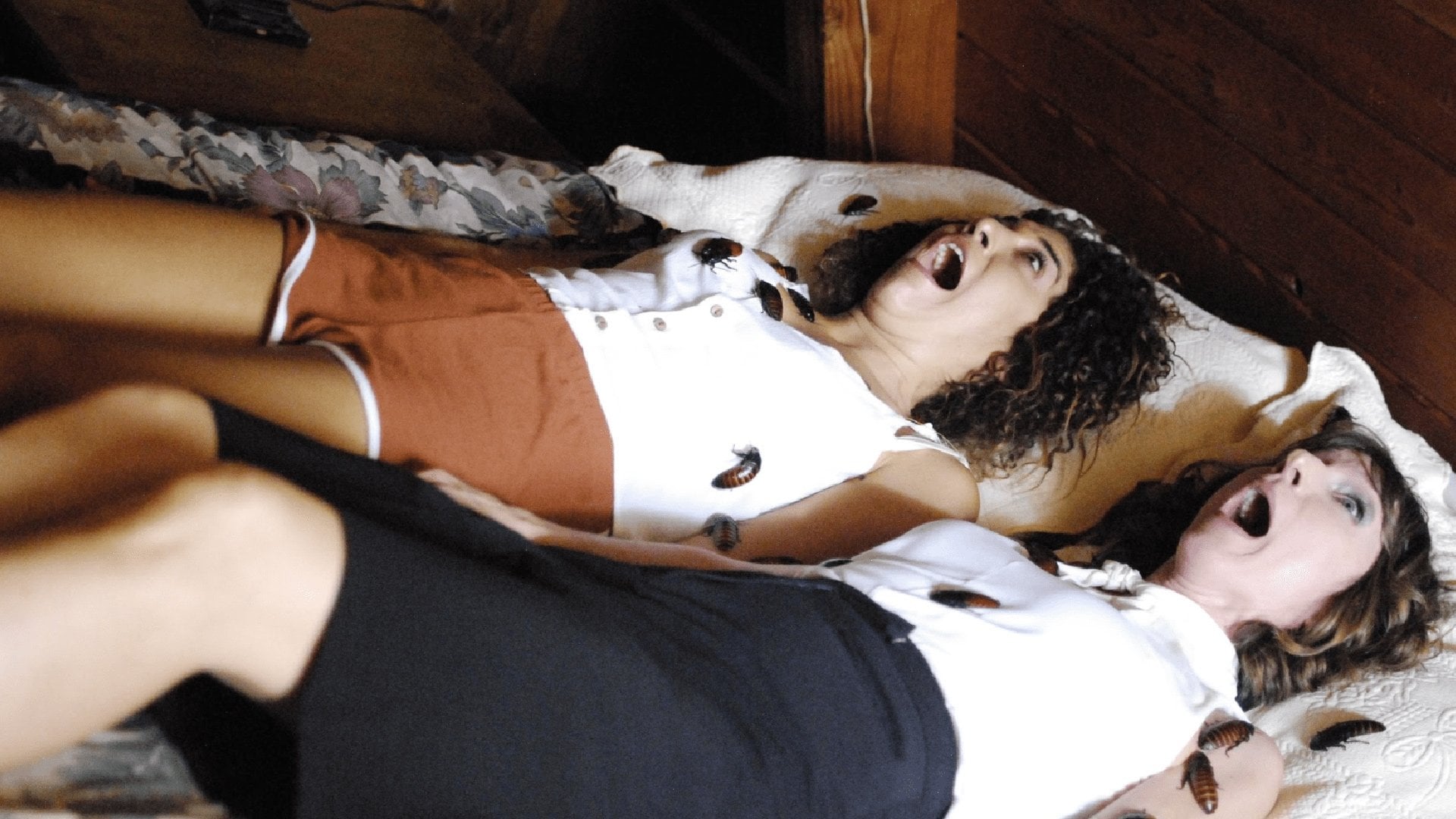 Foto do filme A Cabana Maldita