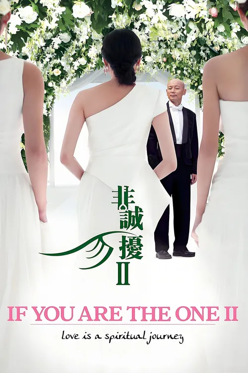 If You Are the One 2
