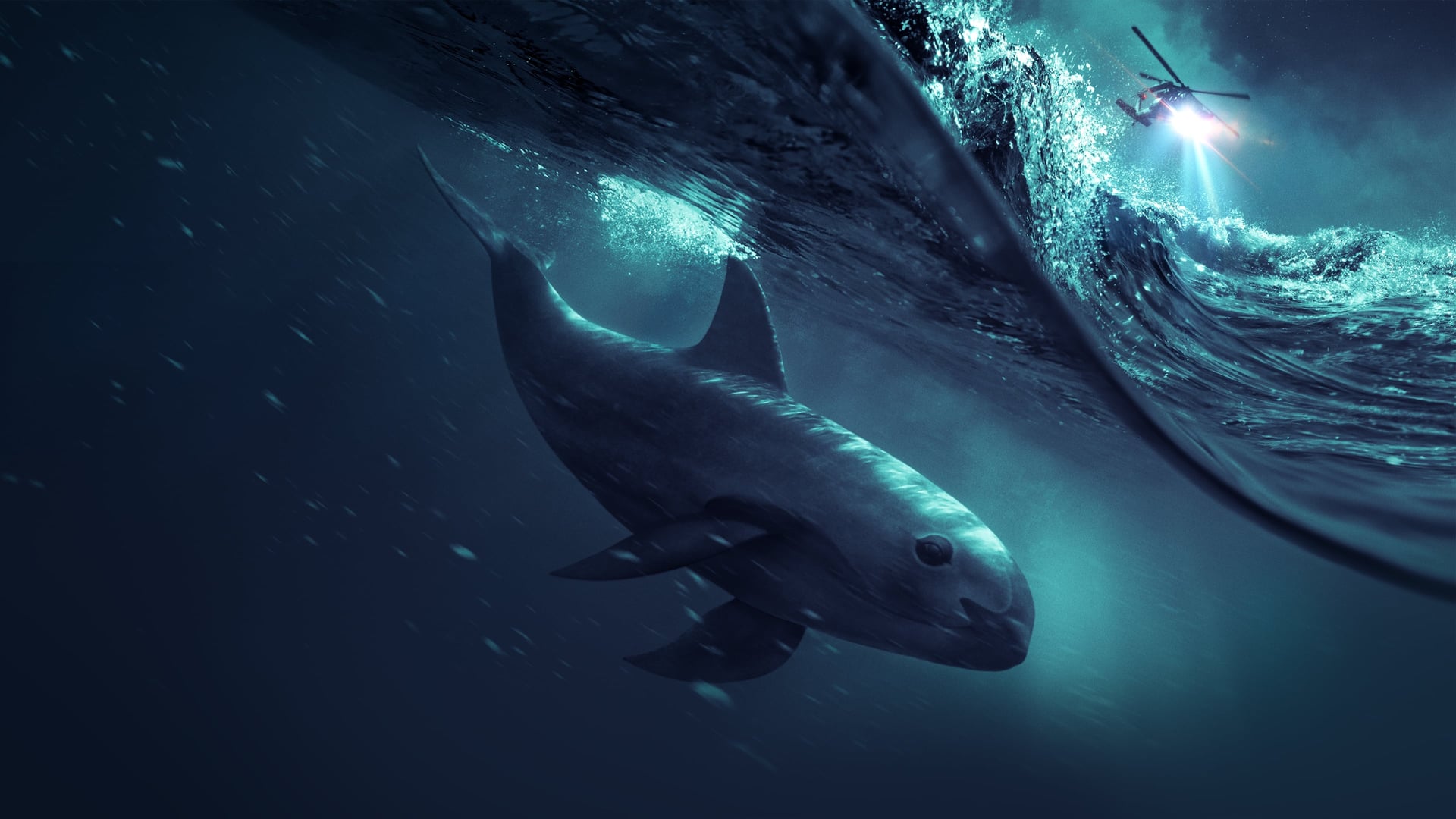 Foto do filme Perseguição em Alto Mar - Espécies em Risco