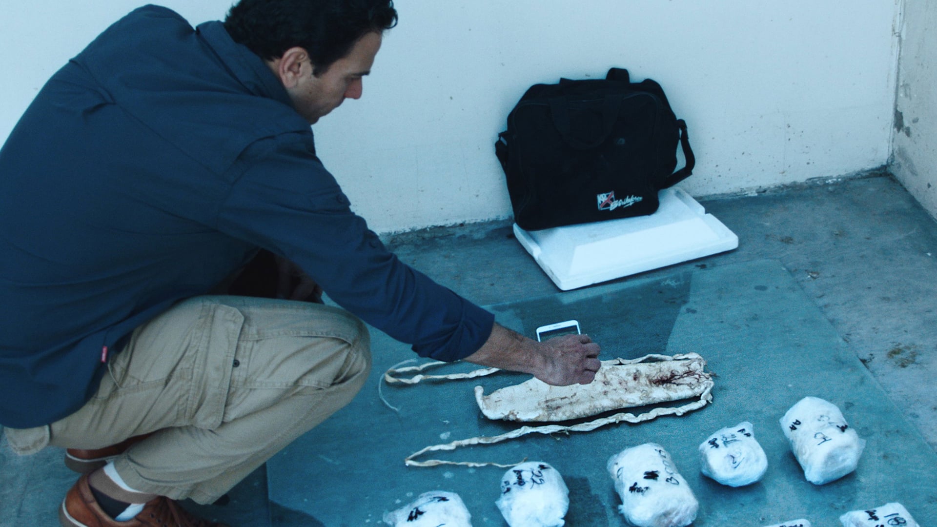 Foto do filme Perseguição em Alto Mar - Espécies em Risco