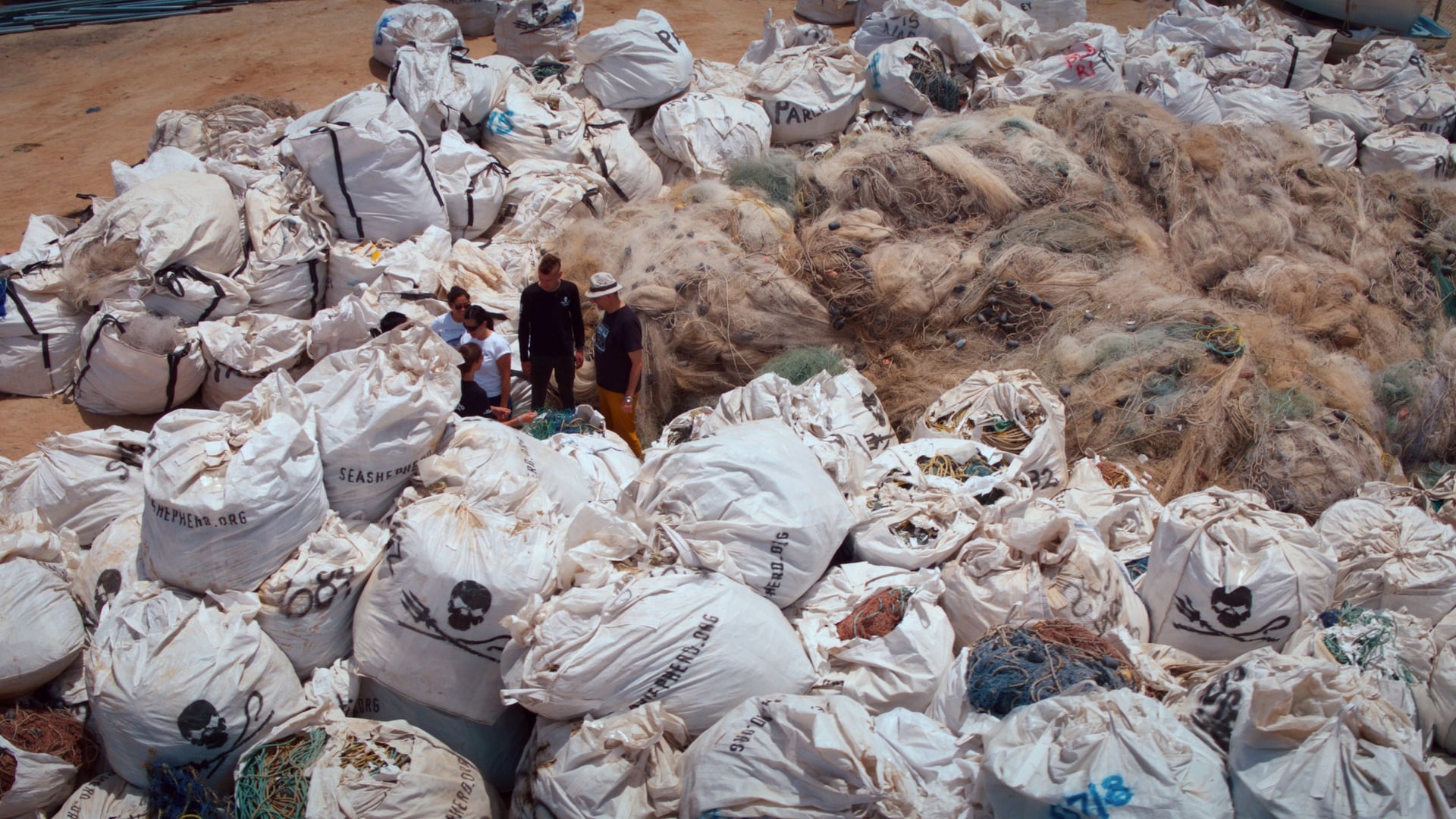 Foto do filme Perseguição em Alto Mar - Espécies em Risco
