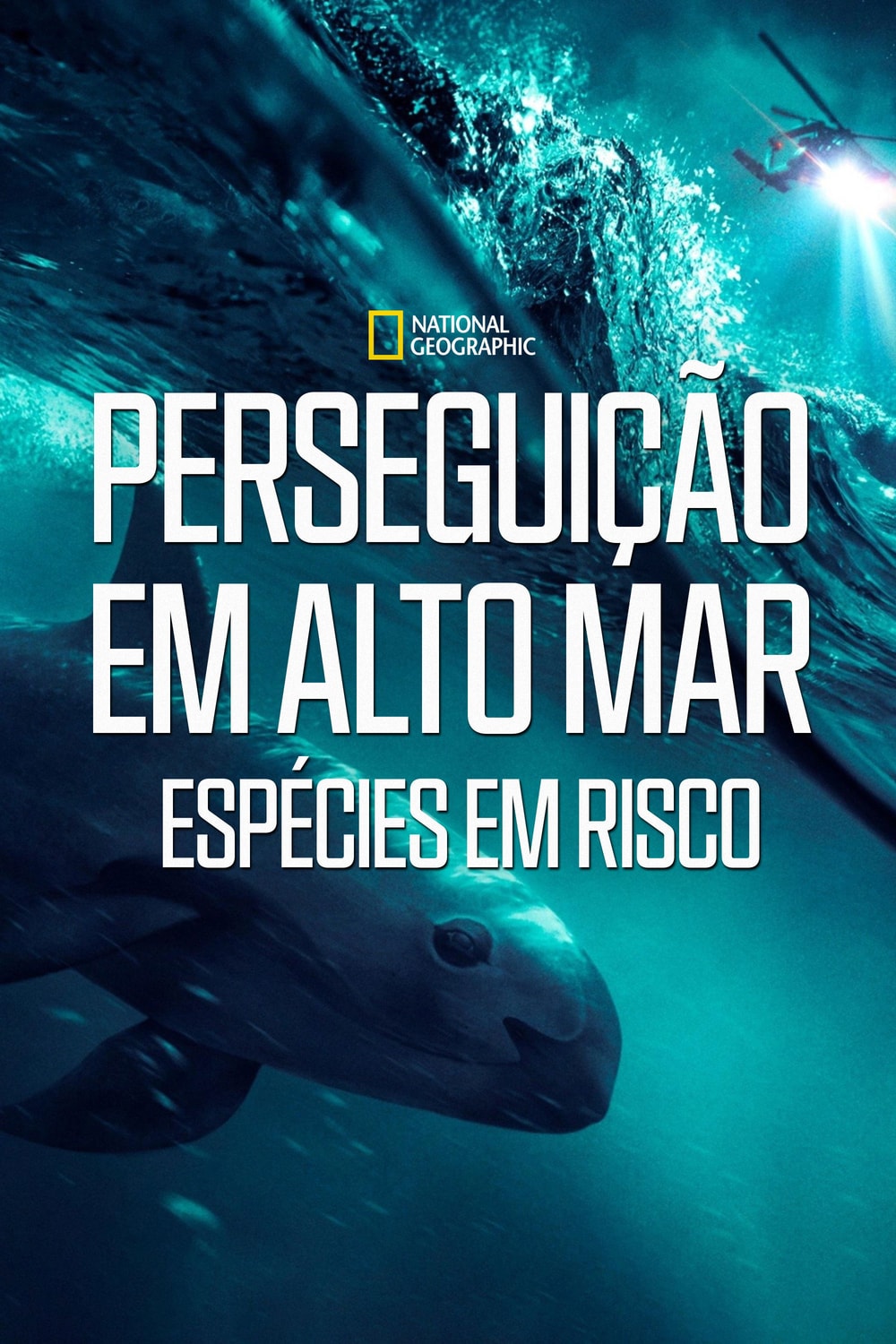 Perseguição em Alto Mar - Espécies em Risco