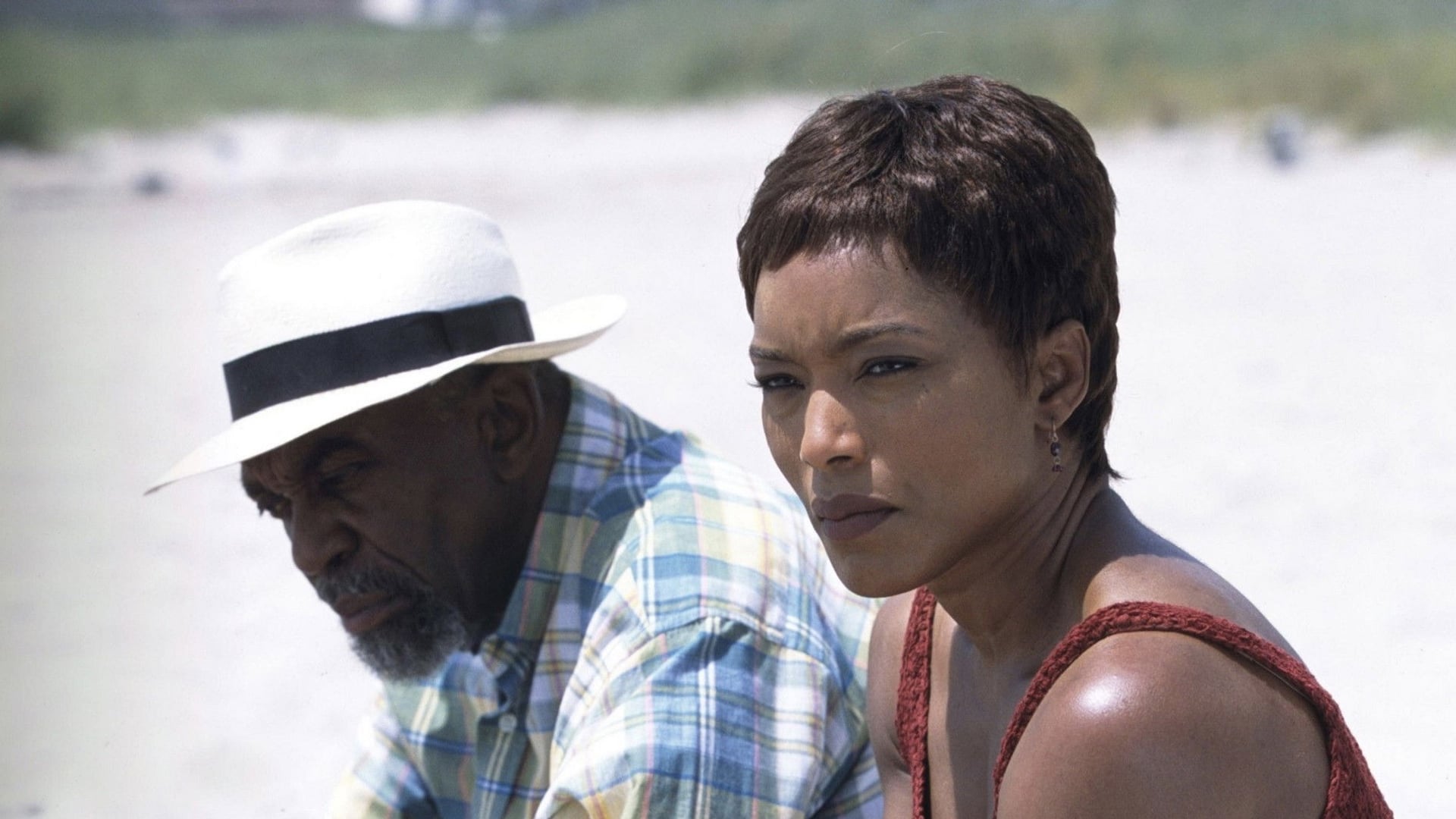 Foto do filme Sunshine State