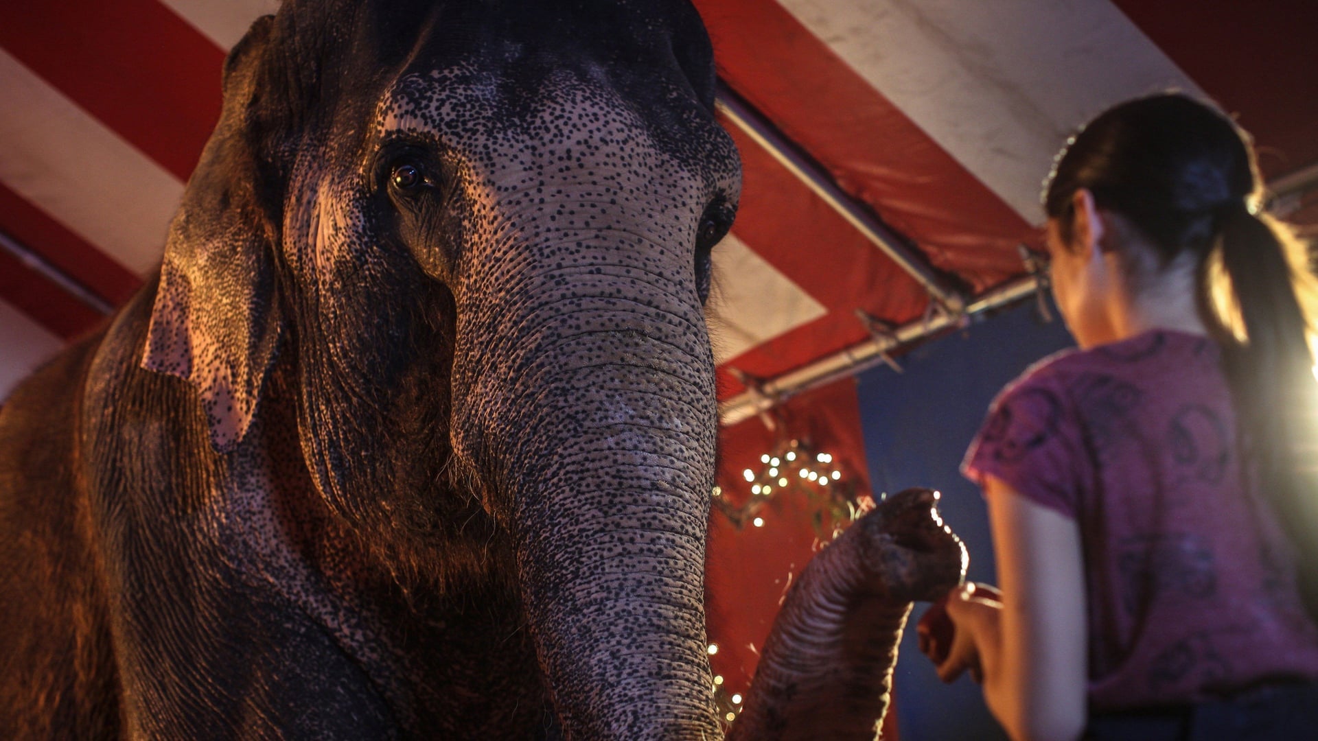 Foto do filme Uma Grande Amizade