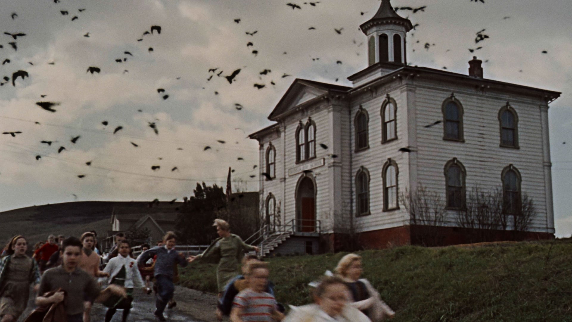 Foto do filme Os Pássaros