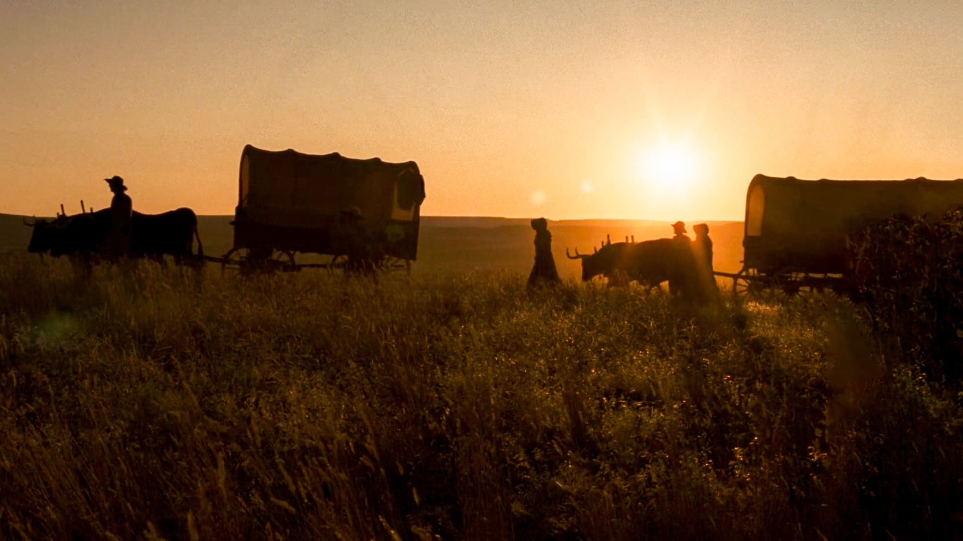 Foto do filme O Atalho