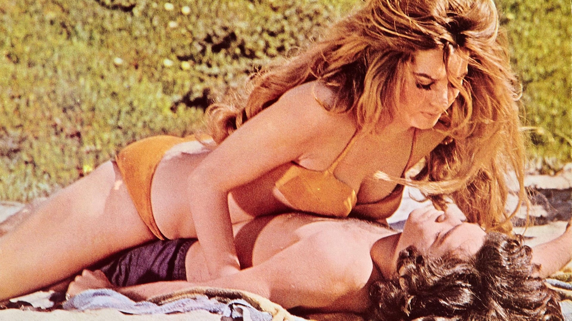 Foto do filme Vixen!