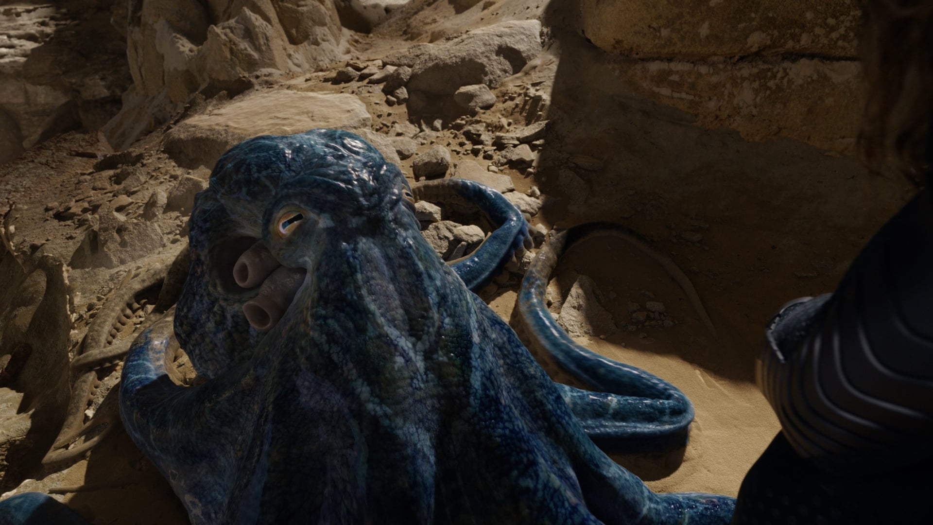 Foto do filme Aquaman 2: O Reino Perdido