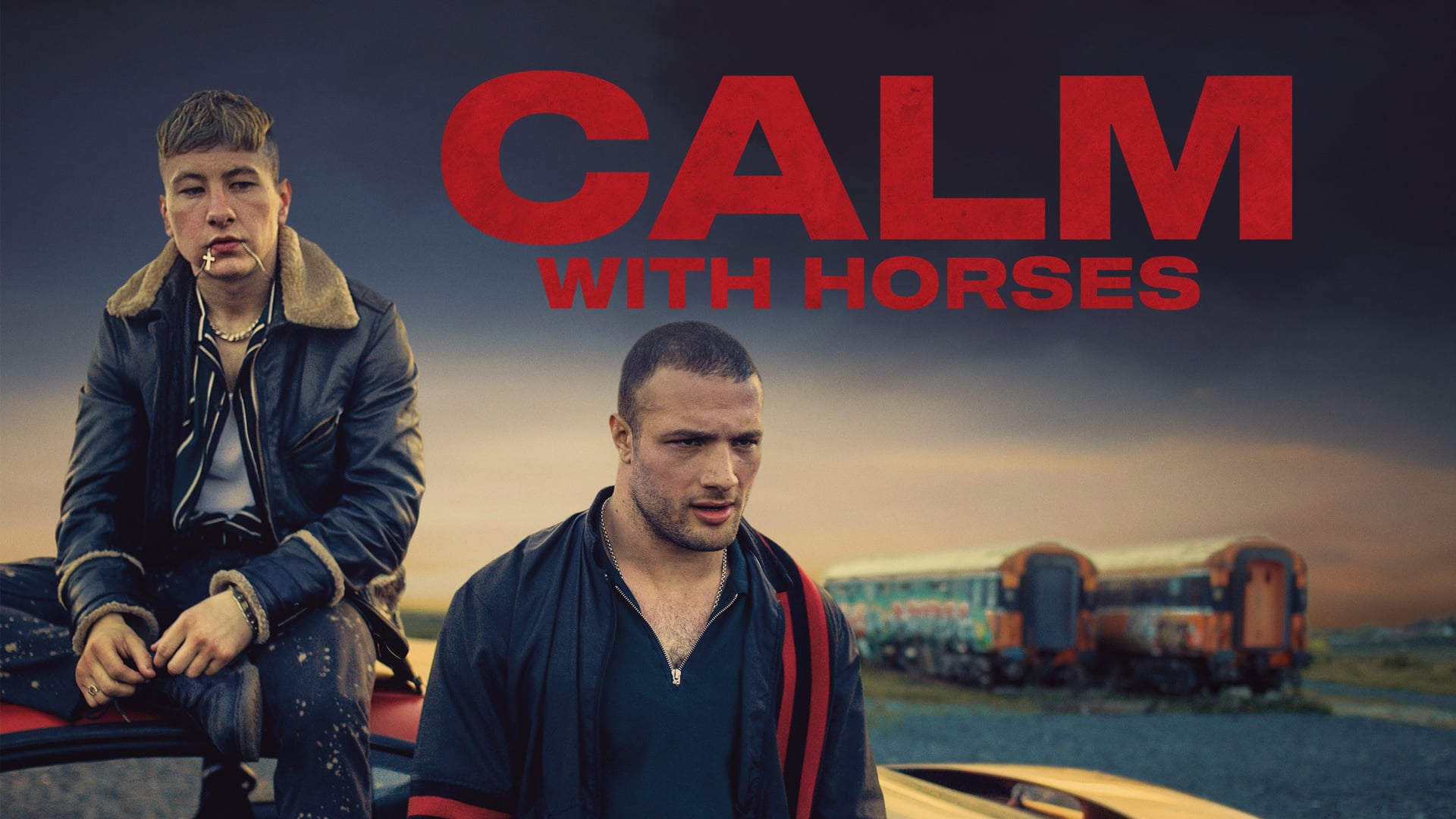 Foto do filme Calm with Horses