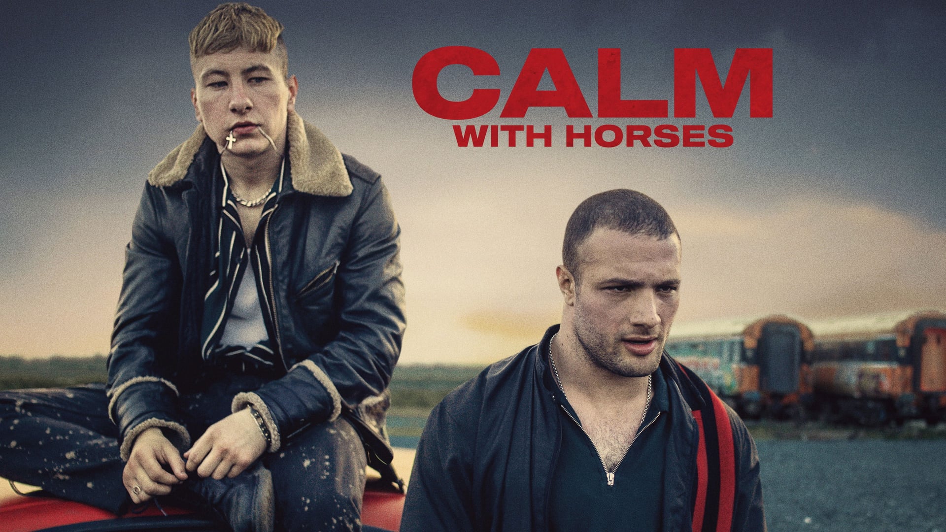 Foto do filme Calm with Horses