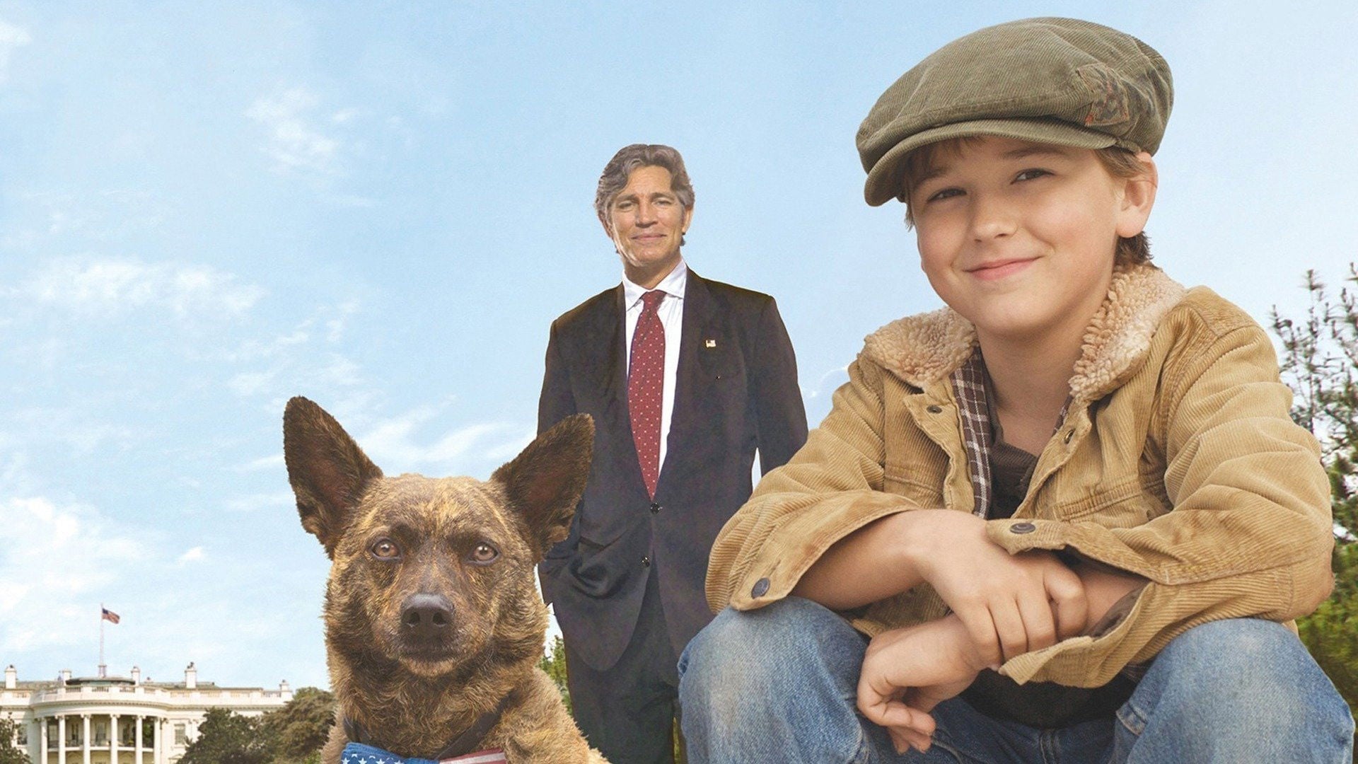 Foto do filme Meu Querido Vira-Lata