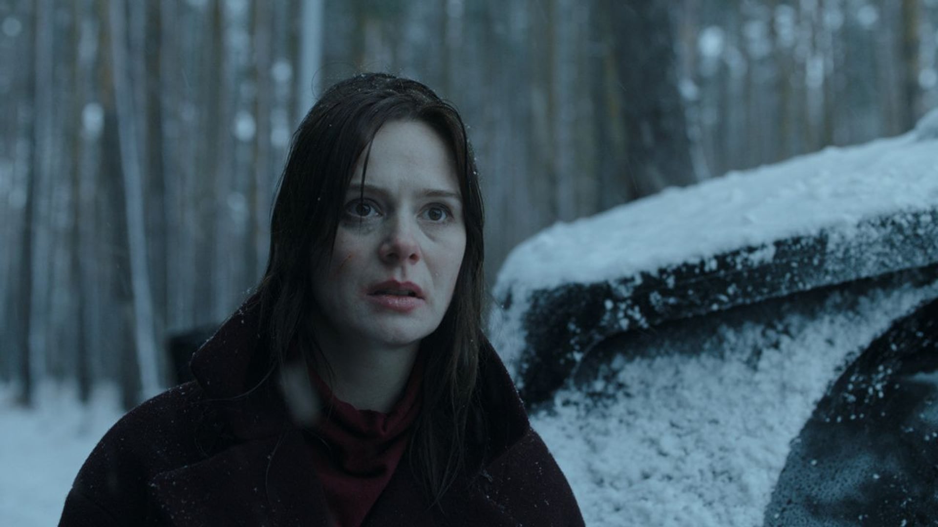 Foto do filme O Vigia