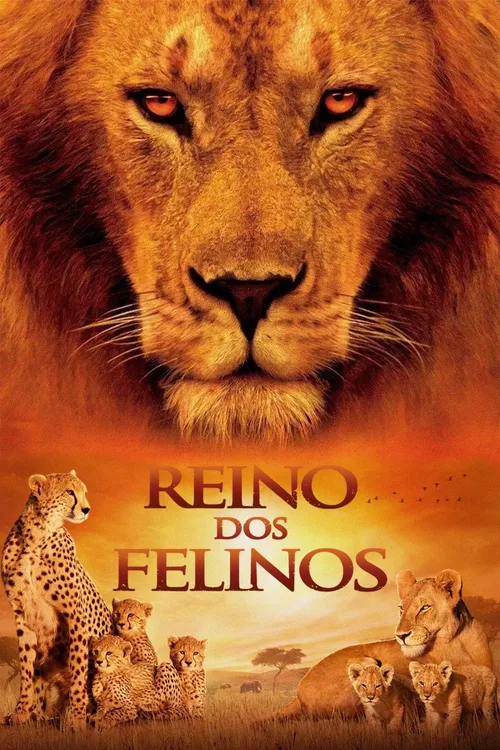 Reino dos Felinos