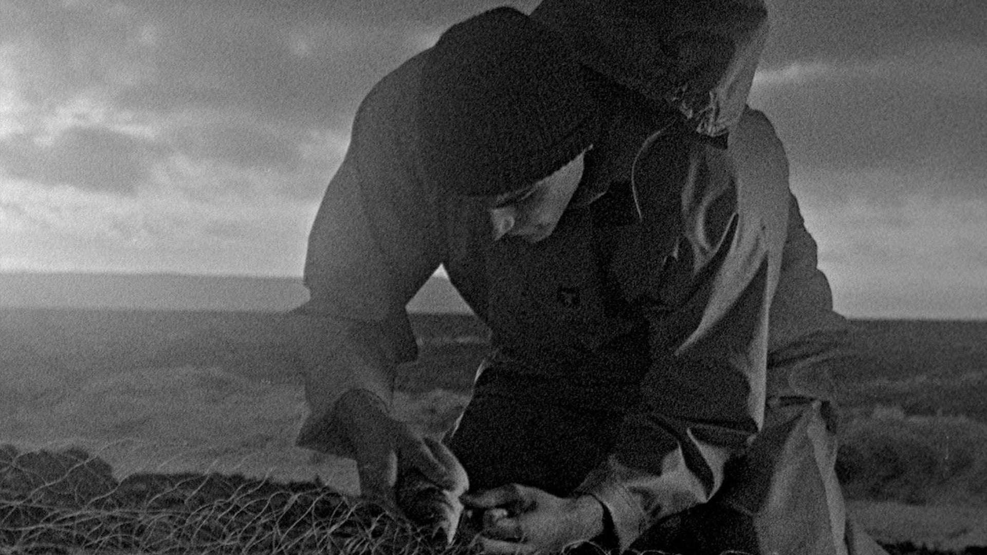 Foto do filme Provocação