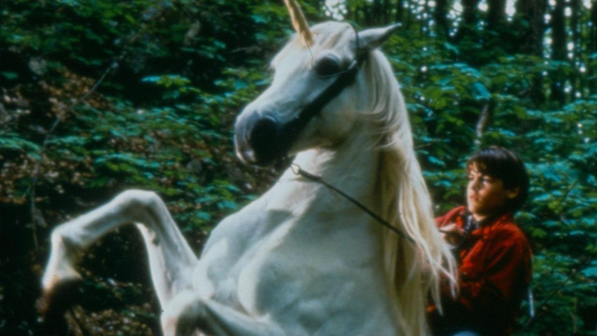 Foto do filme Meu Amigo, o Unicórnio