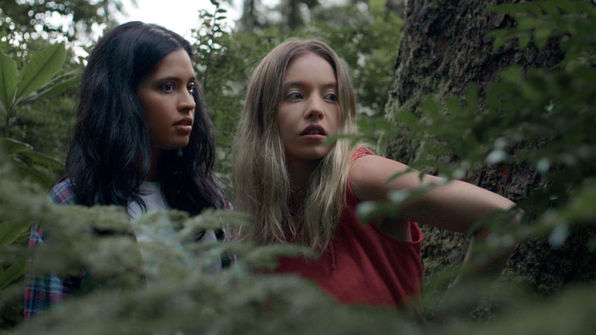 Foto do filme Clementine