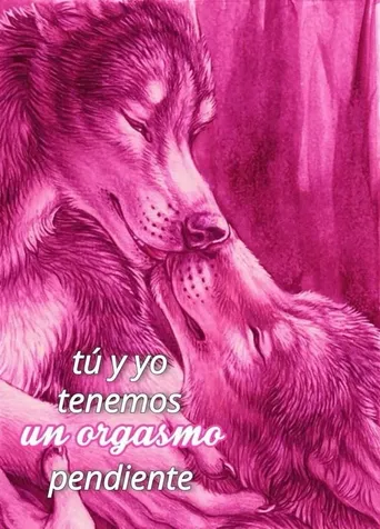 O Império dos Sentidos