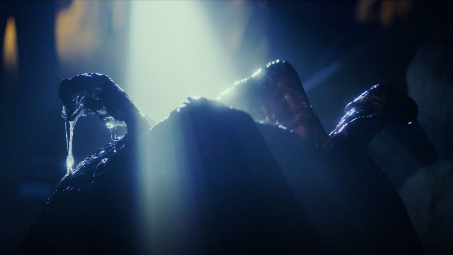 Foto do filme Alien: Ore
