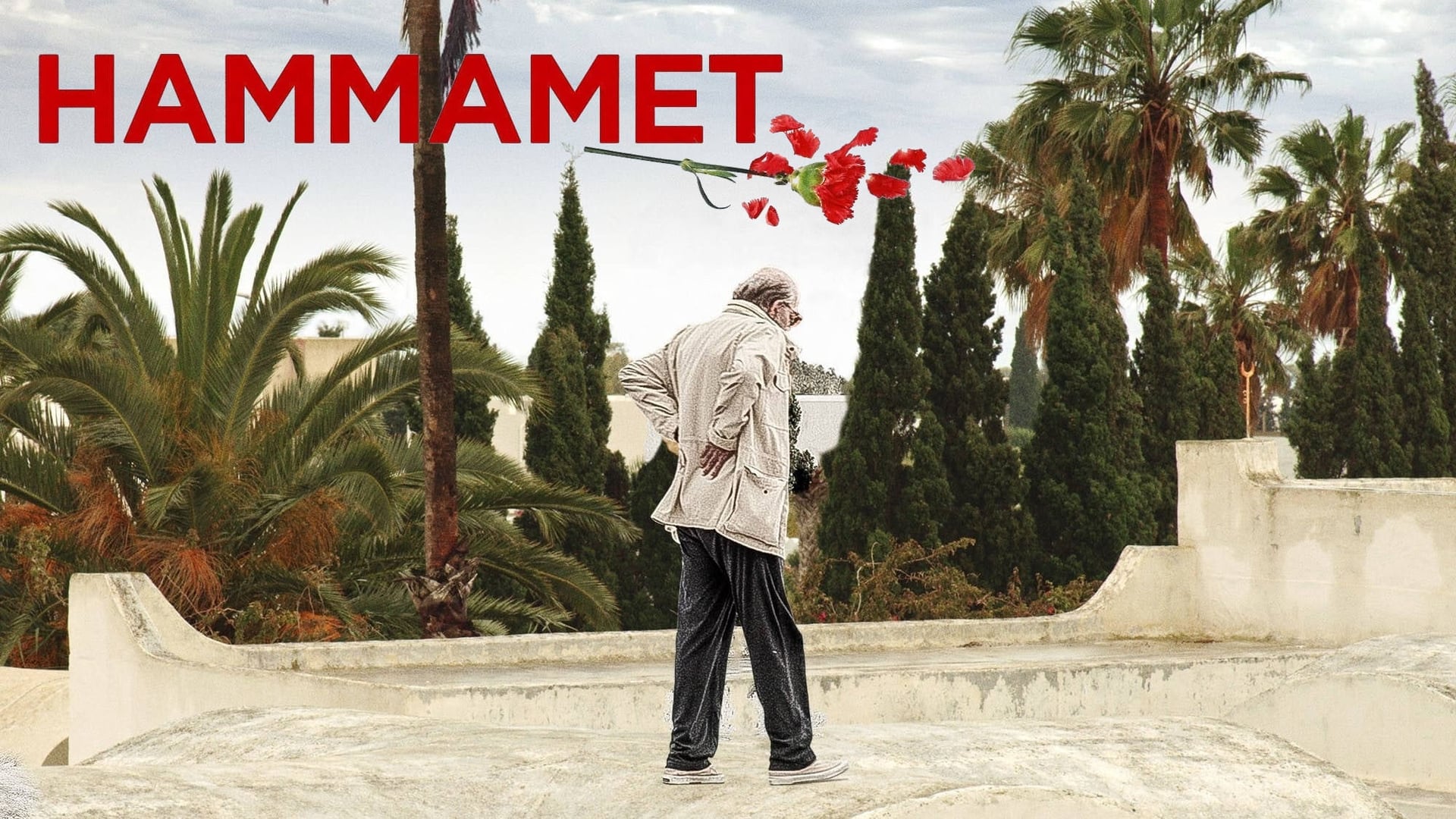 Foto do filme Hammamet