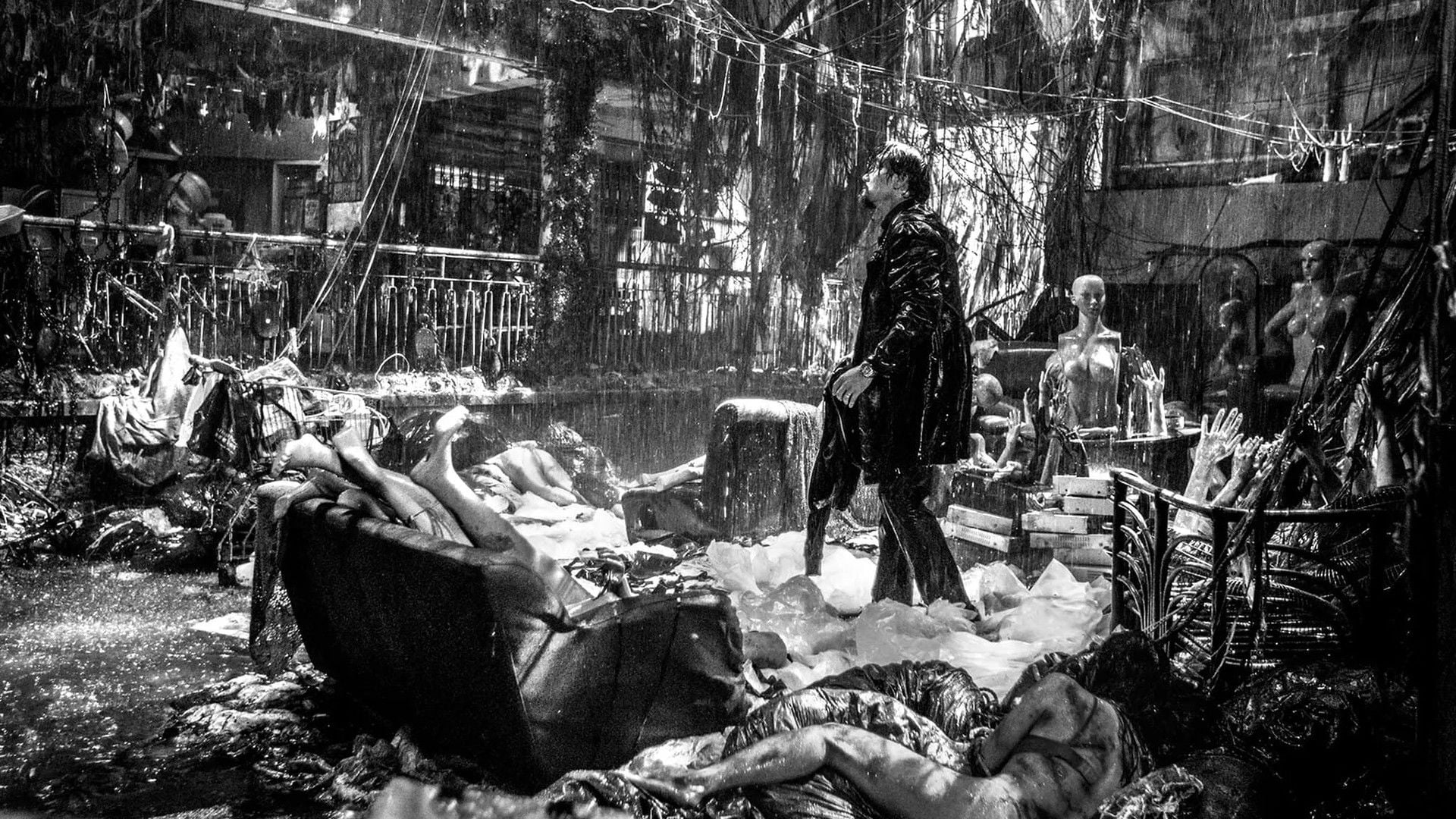 Foto do filme Limbo