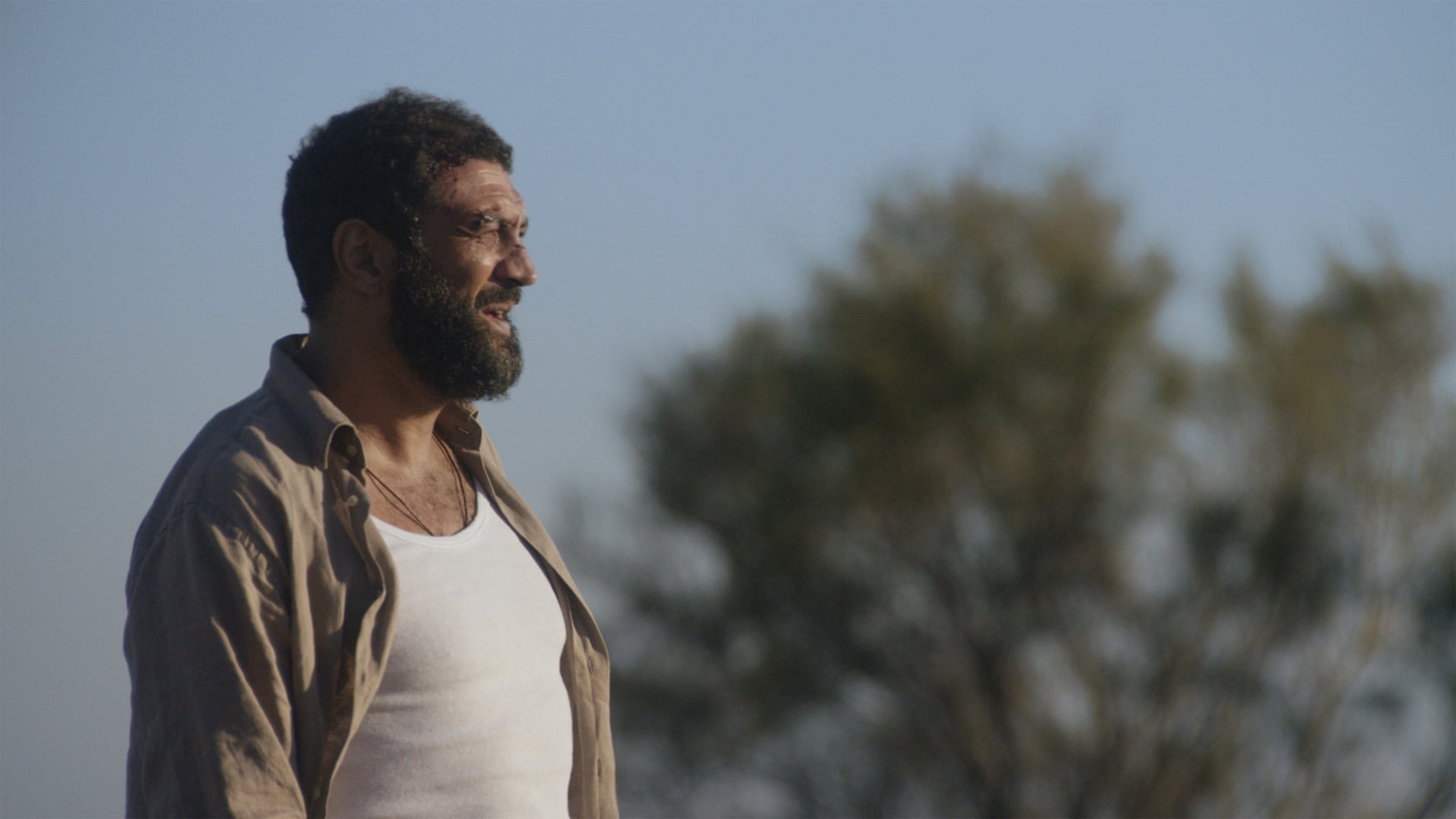 Foto do filme Terminal Sul: Luta por Liberdade