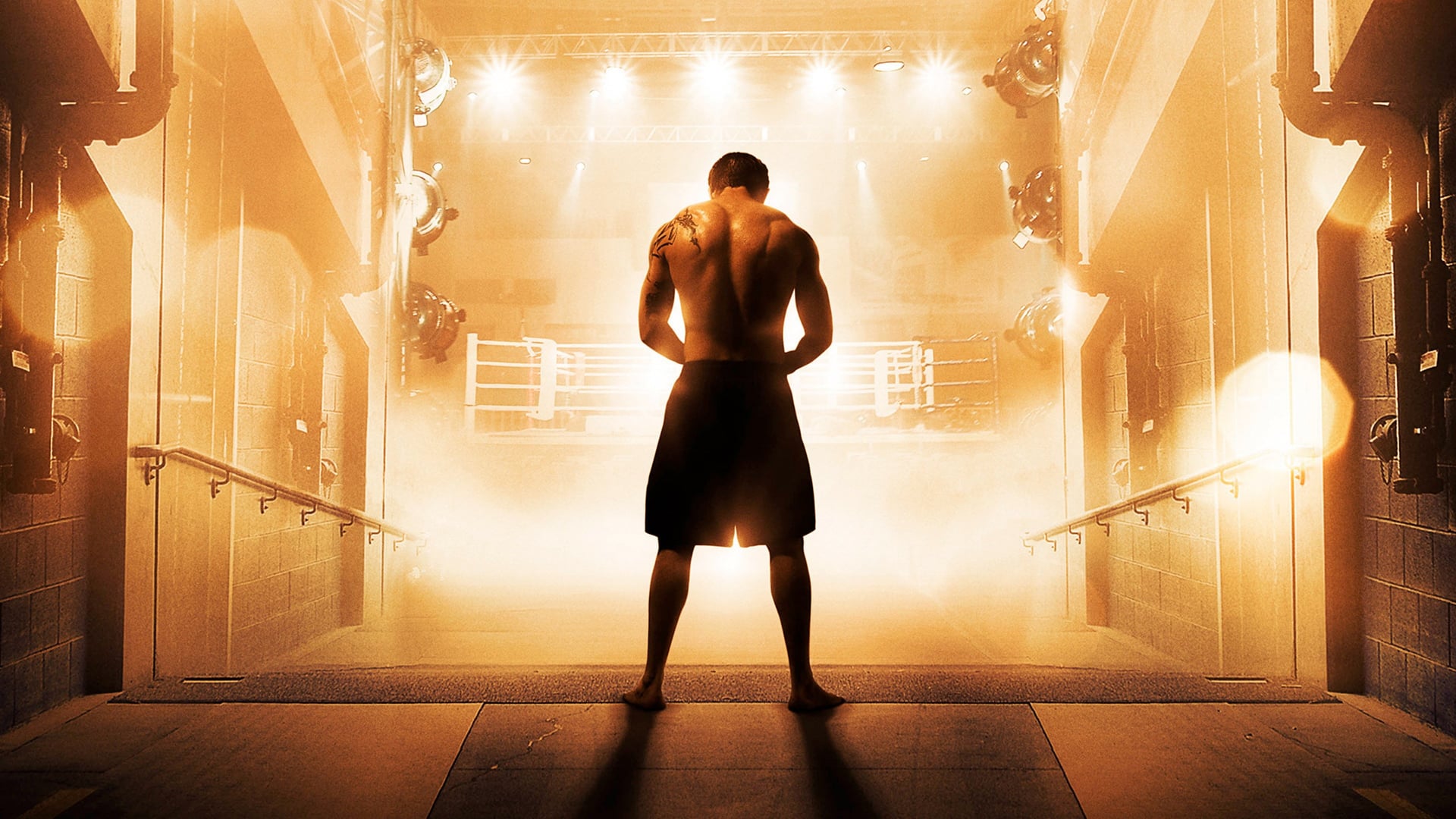 Foto do filme Guerreiro