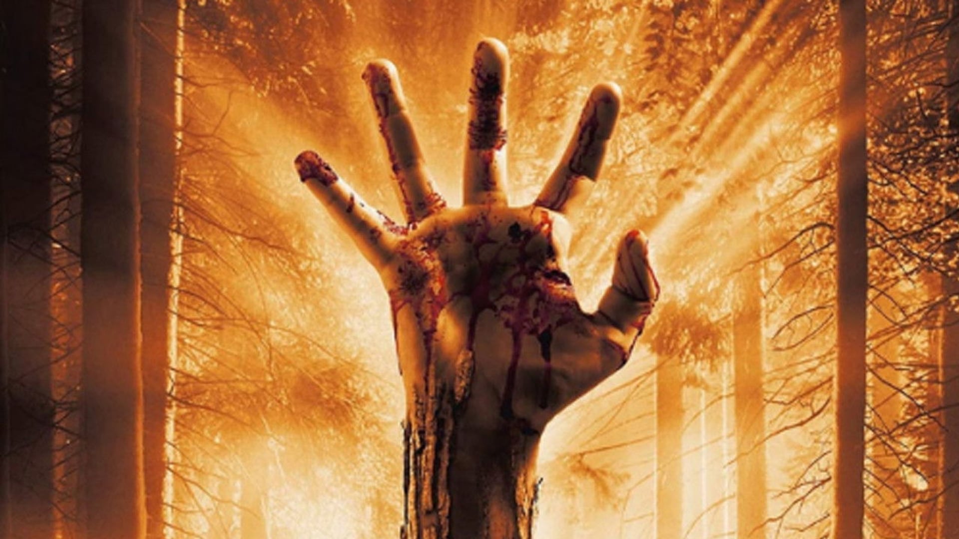 Foto do filme Despertar dos Mortos