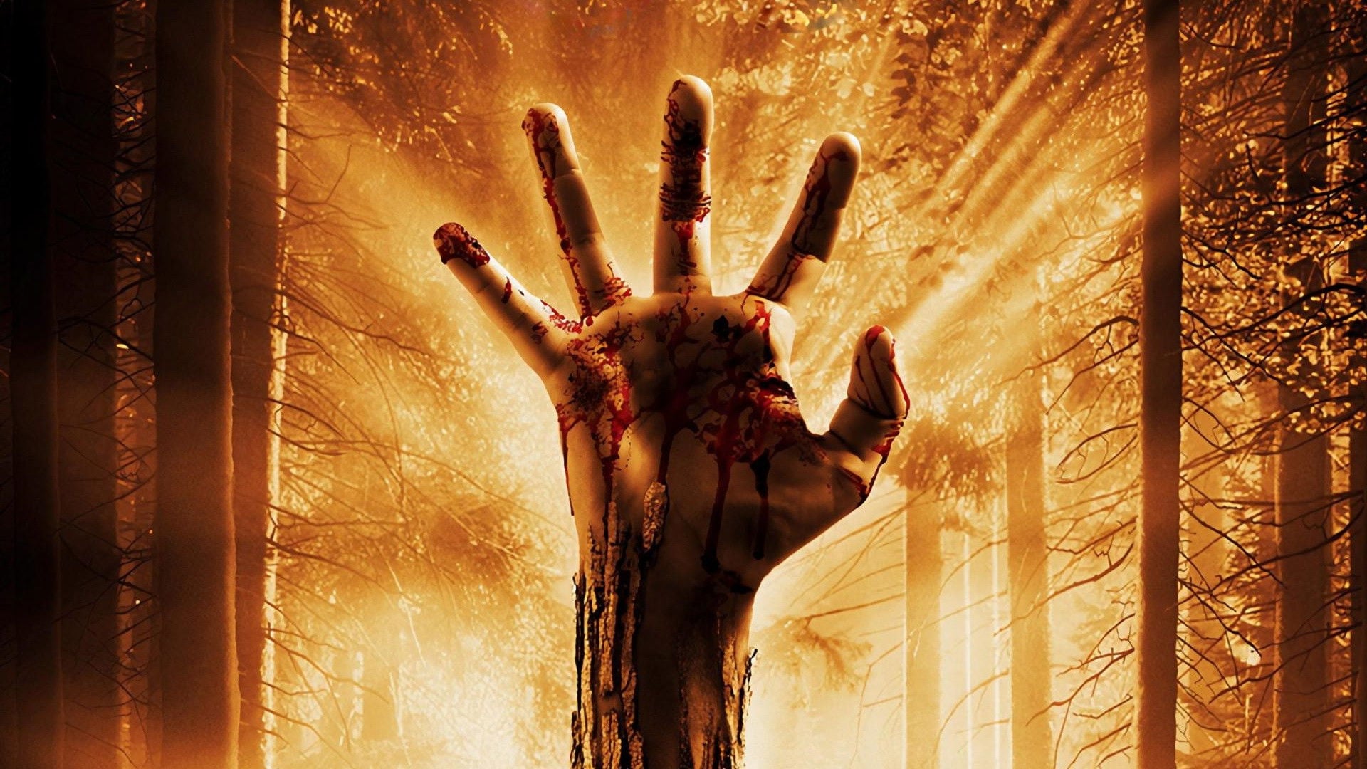 Foto do filme Despertar dos Mortos