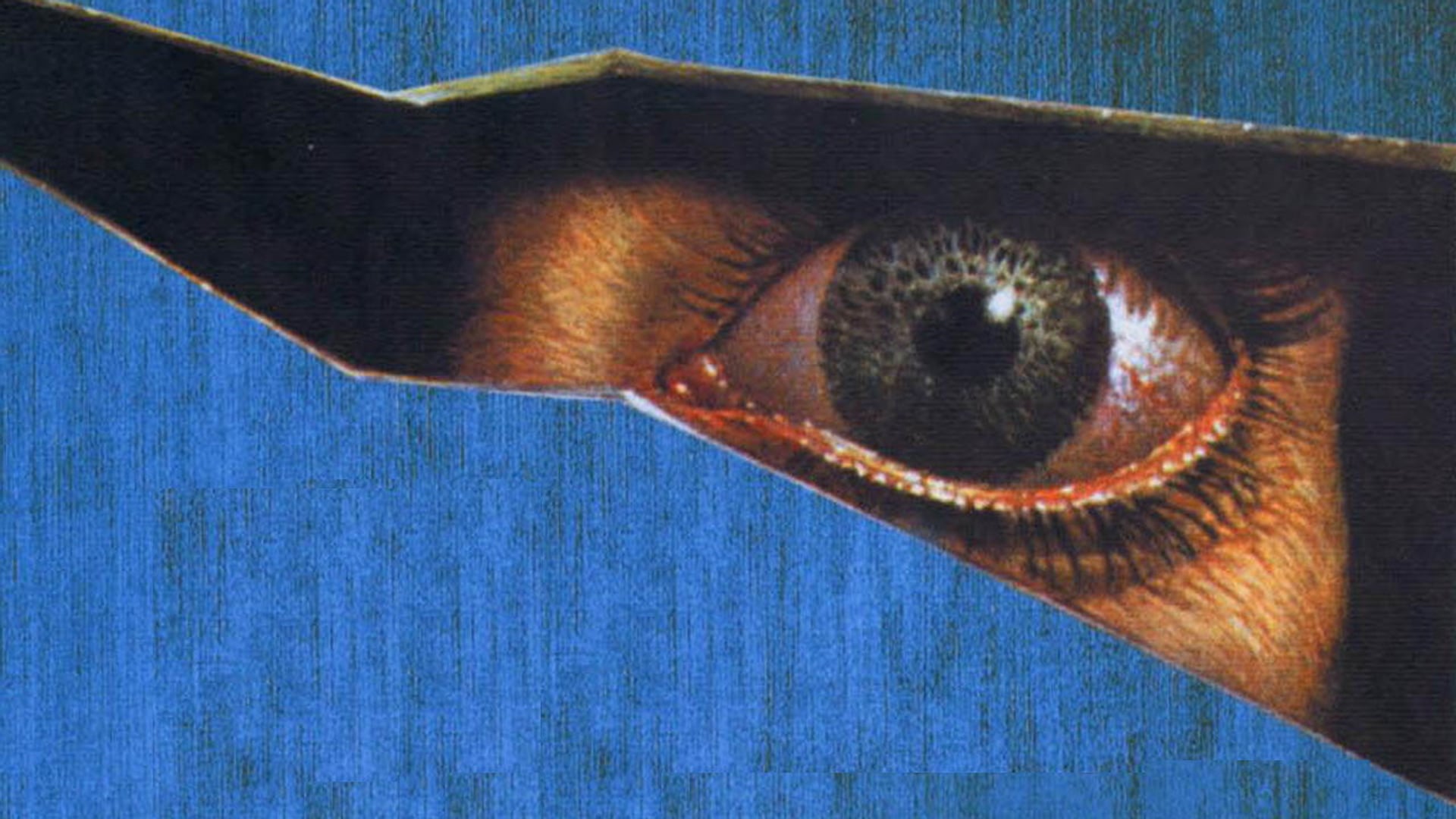 Foto do filme A Maldição do Espelho